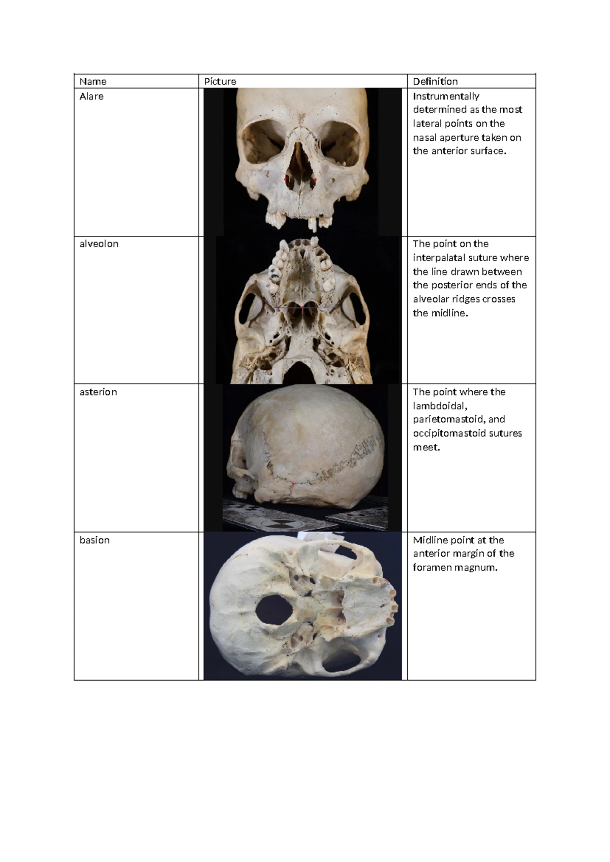 ANA122 Lower Limb and Foot Anatomy Worksheet - Studocu
