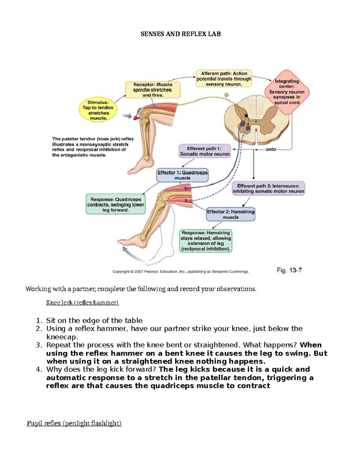 A&P 160 Final Exam Guided Notes: Medical Terminology Essentials - Studocu