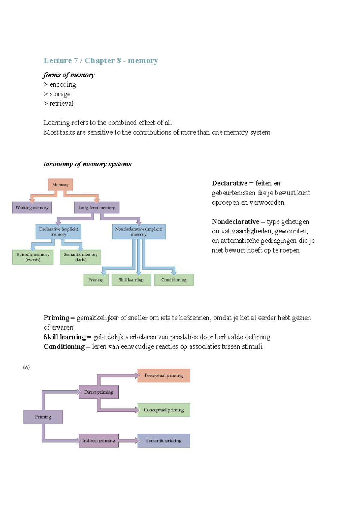 Cognitive Neuroscience 2nd Exam: Memory, Emotion, and Social Cognition ...