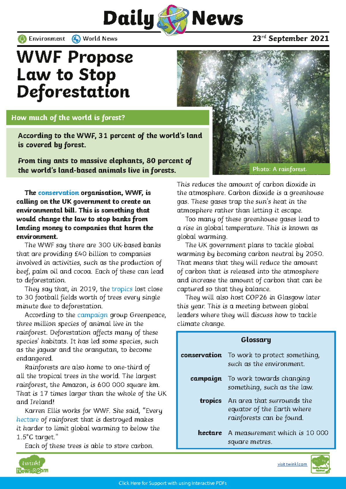 Daily Article - WWF Proposes Law to Halt Deforestation - UKS2 (9-11 ...