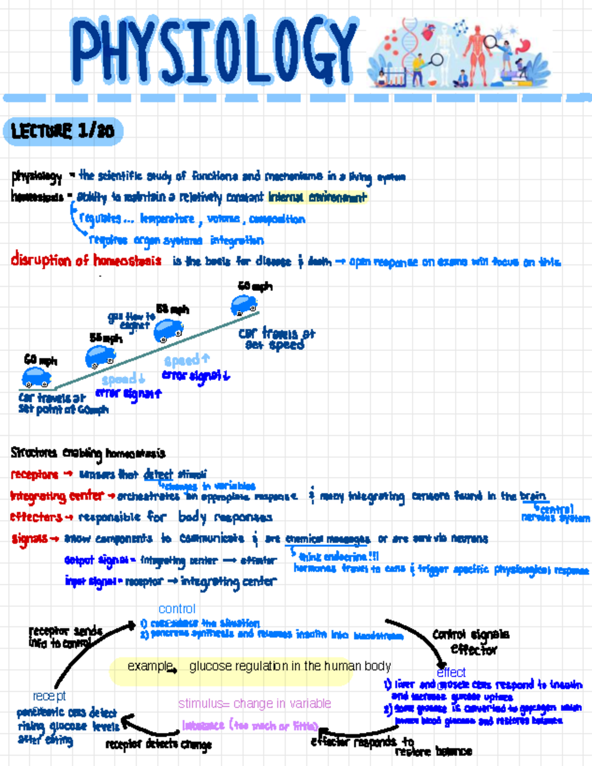 Neurophysiology Lecture Notes: Graded & Action Potentials (BIO 101 ...