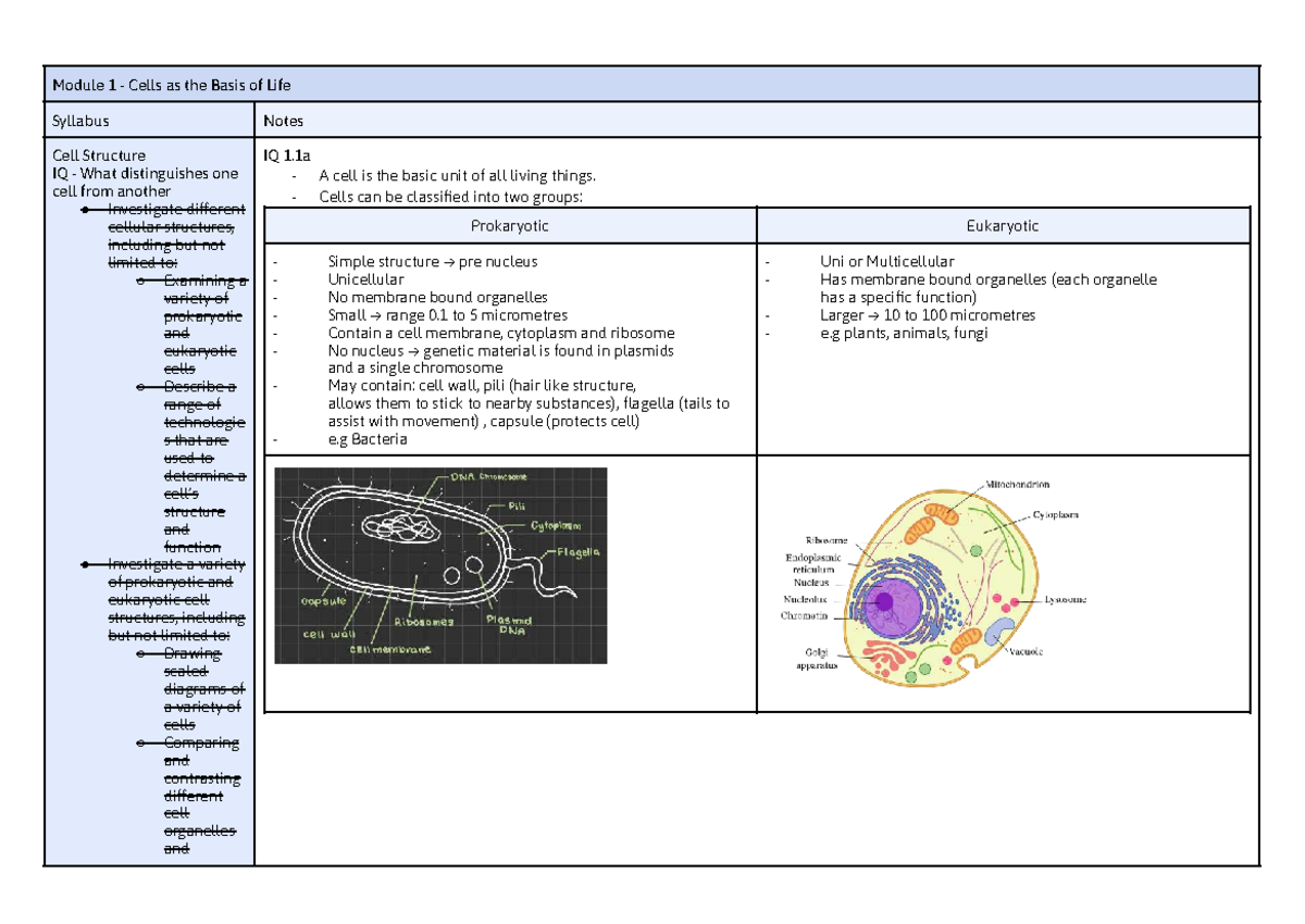 Biology Prelim Notes - Module 1: Cells as the Basis of Life - Studocu