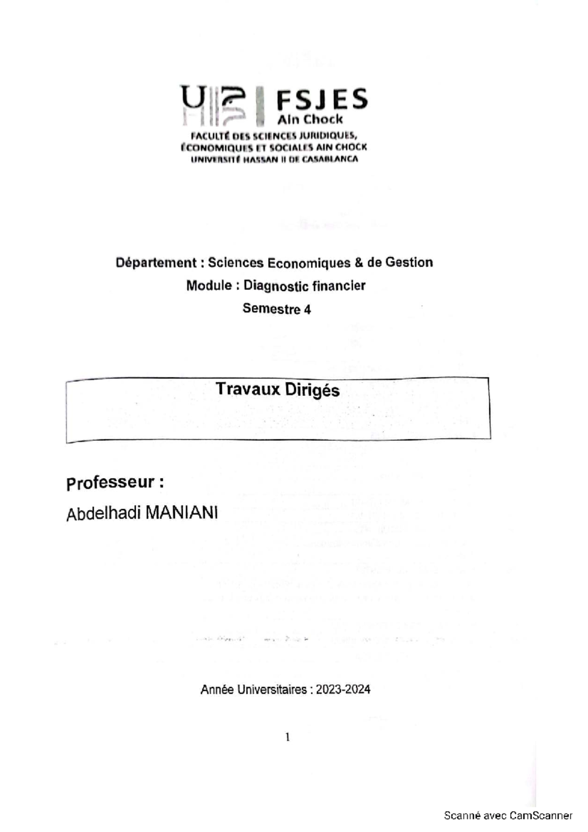 TD de Diagnostic Financier - HIIS FSJES Ain Chock - Prof. Maniani - Document Preview