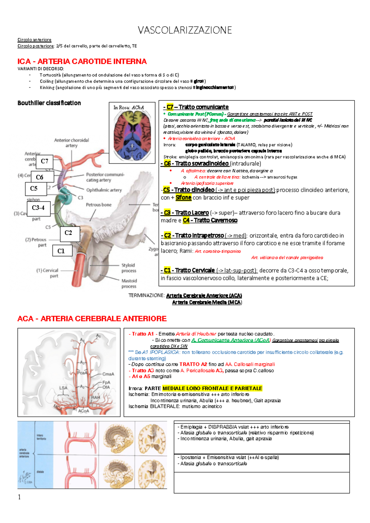 Modello di arteriosclerosi, con sezione delle arterie G40 a 82,96