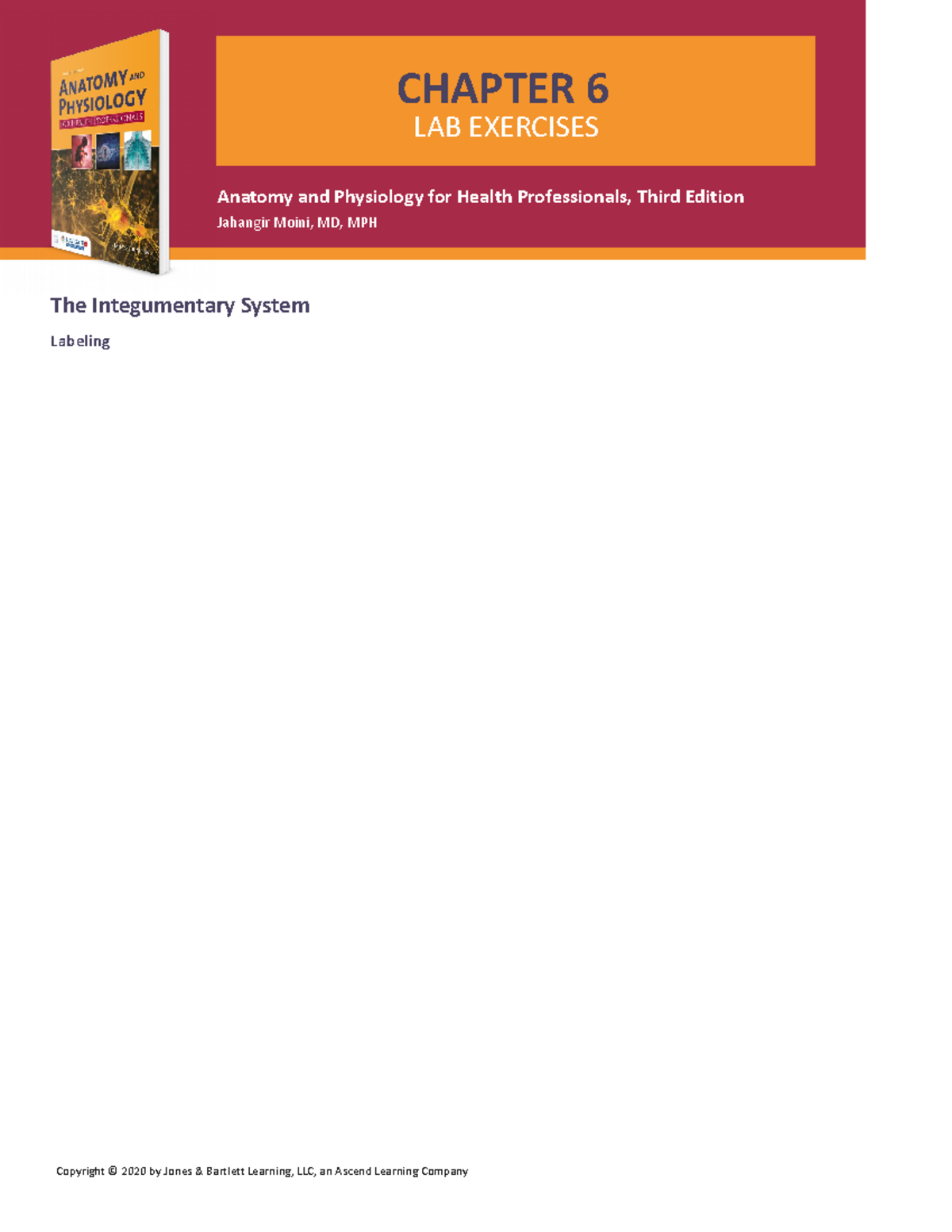 Chapter 6 Lab Exercise Kristen Armes - Anatomy and Physiology for ...