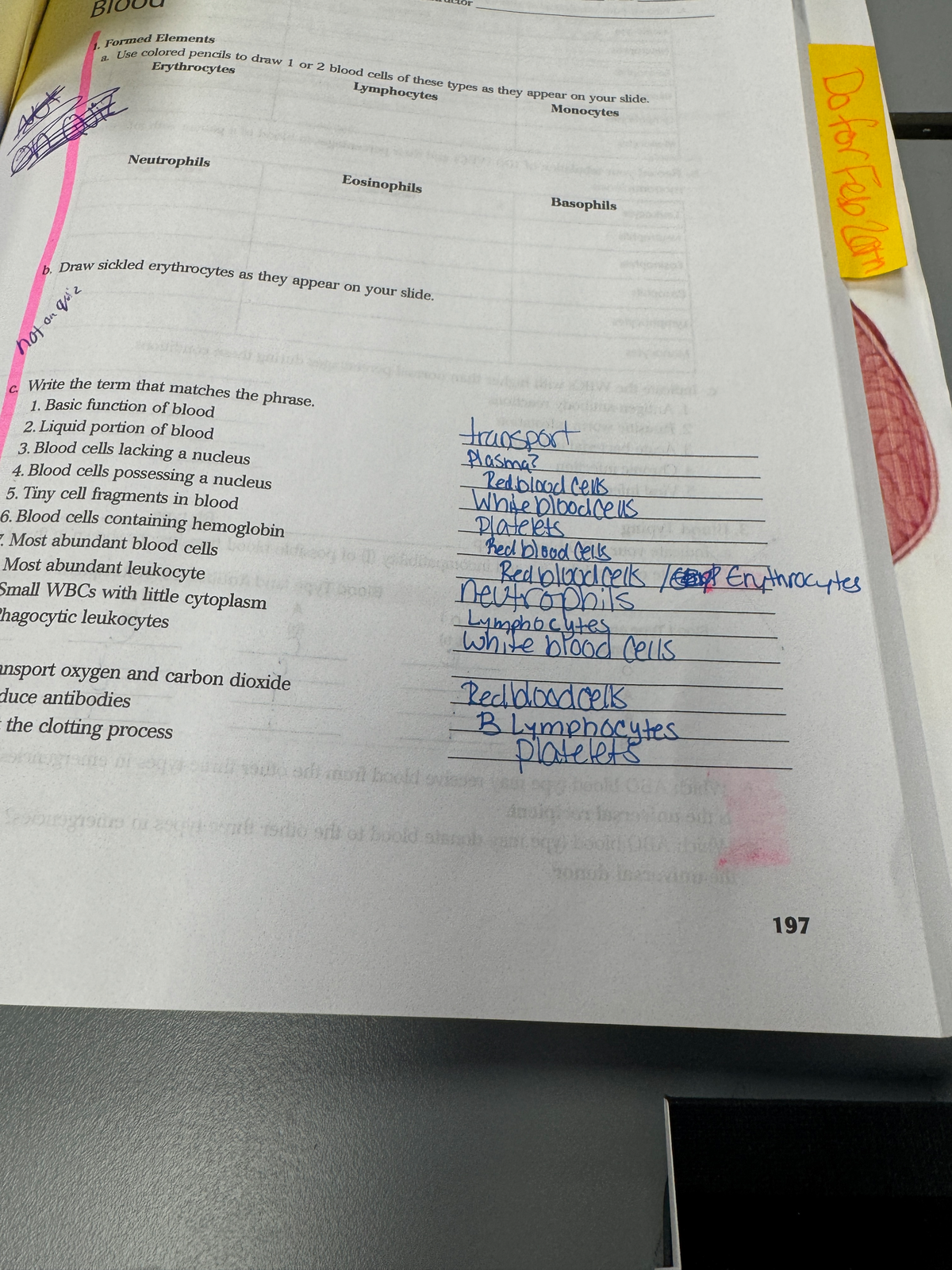 Final Exam Review Notes for Course Code XYZ123 - Blood Formed Elements ...