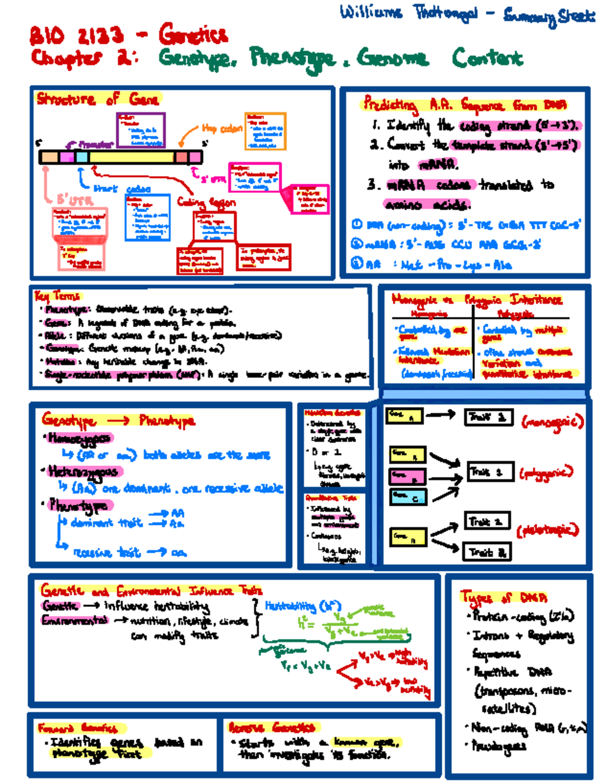 BIO 2133 Genetics Summary: Phenotype, Genotype, and Gene Functions ...