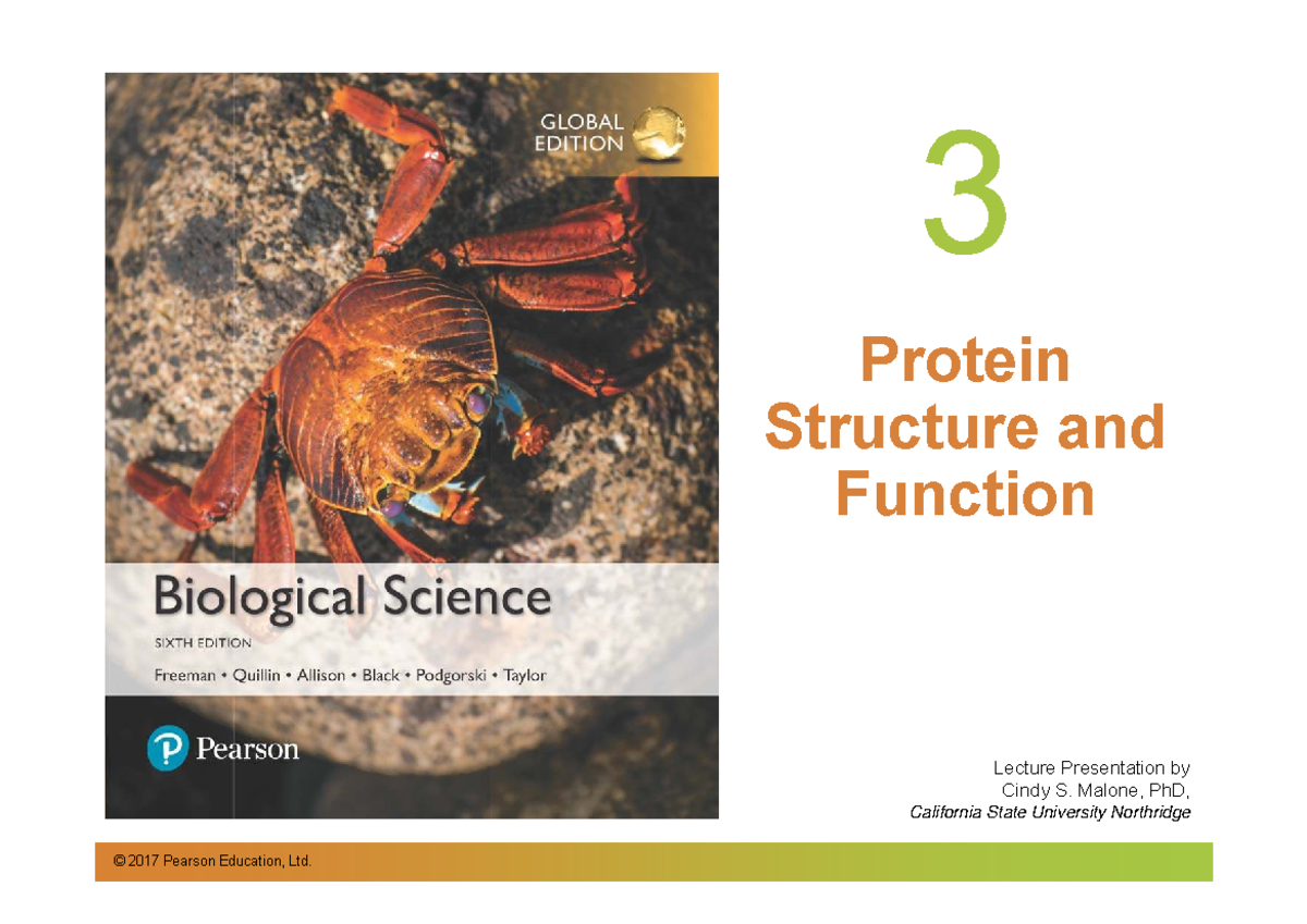 Protein Structure and Function Lecture Notes (BIO 101) - Chapter 3 ...