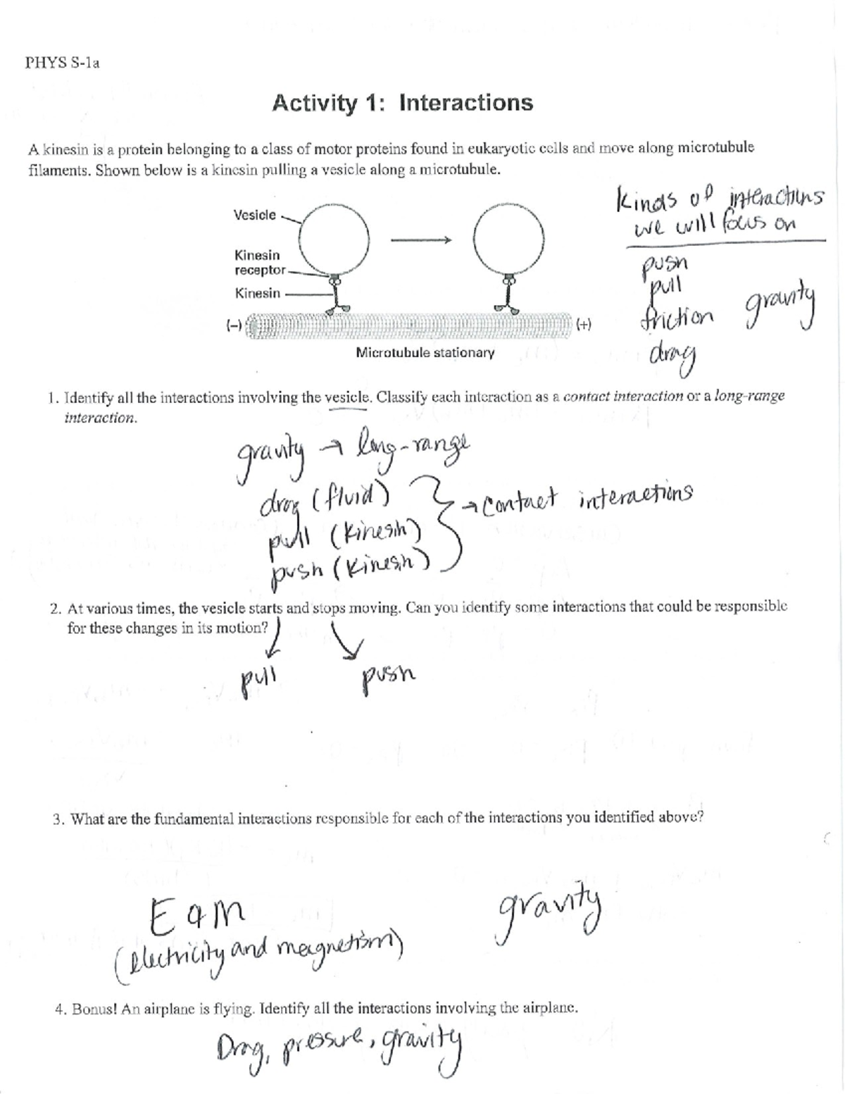 Final Exam Study Guide for PHYS: Kinesin Interactions and Momentum ...