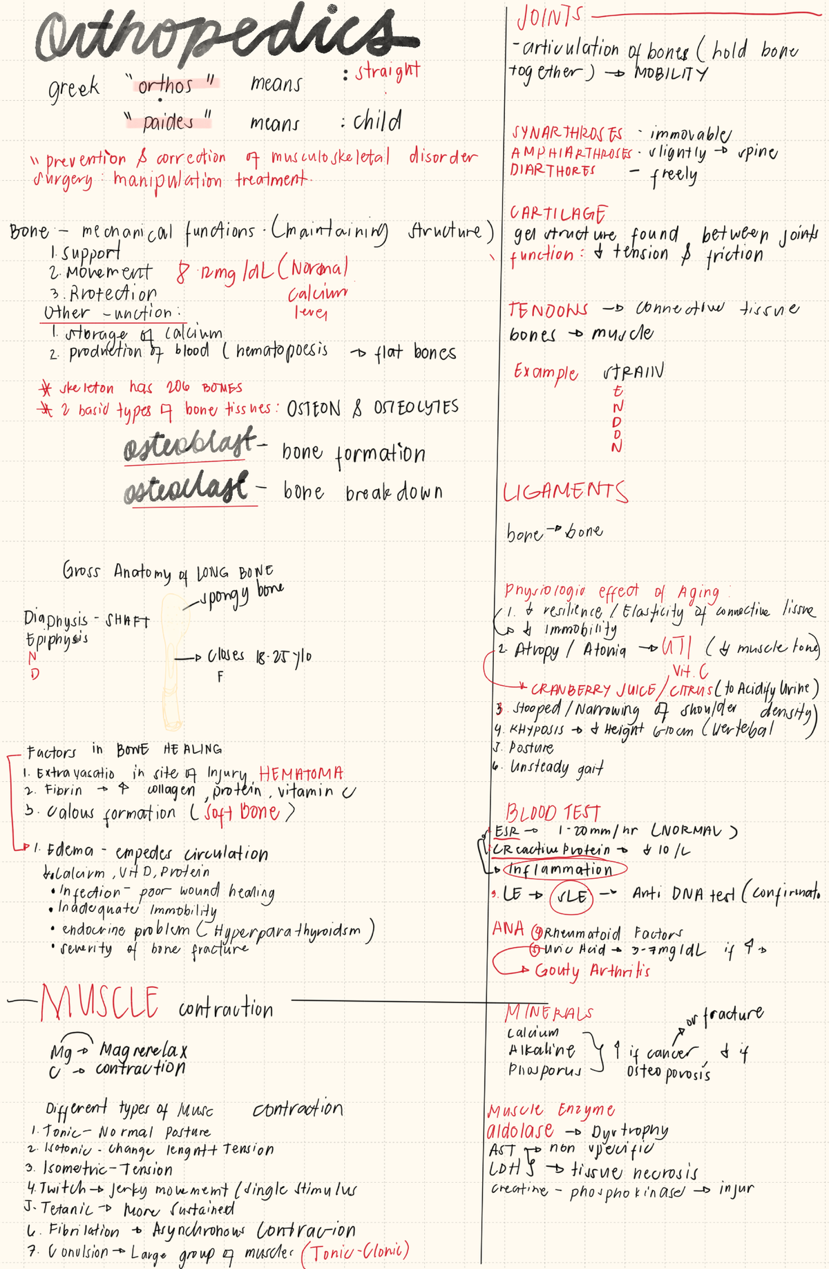Orthopedics (ORT 101) - Joints, Mobility, and Musculoskeletal Disorders ...