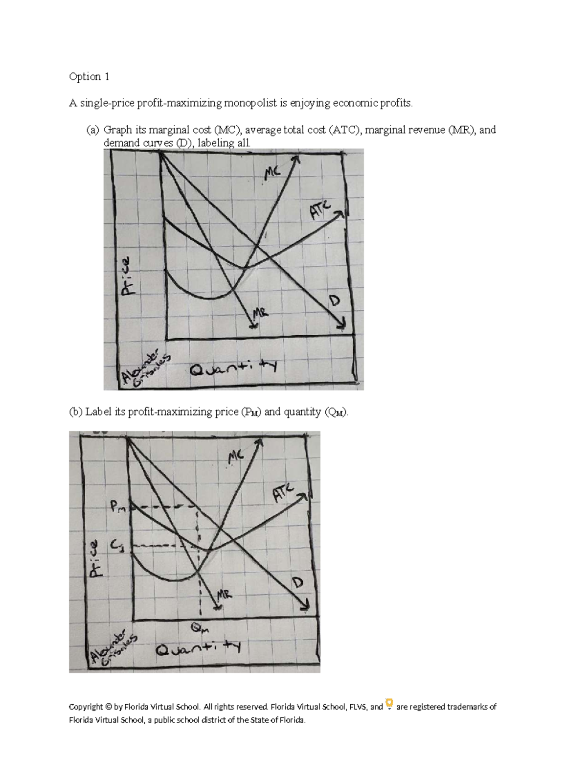 ECO 101: Monopolist Economic Profits Analysis and Graphing - Studocu