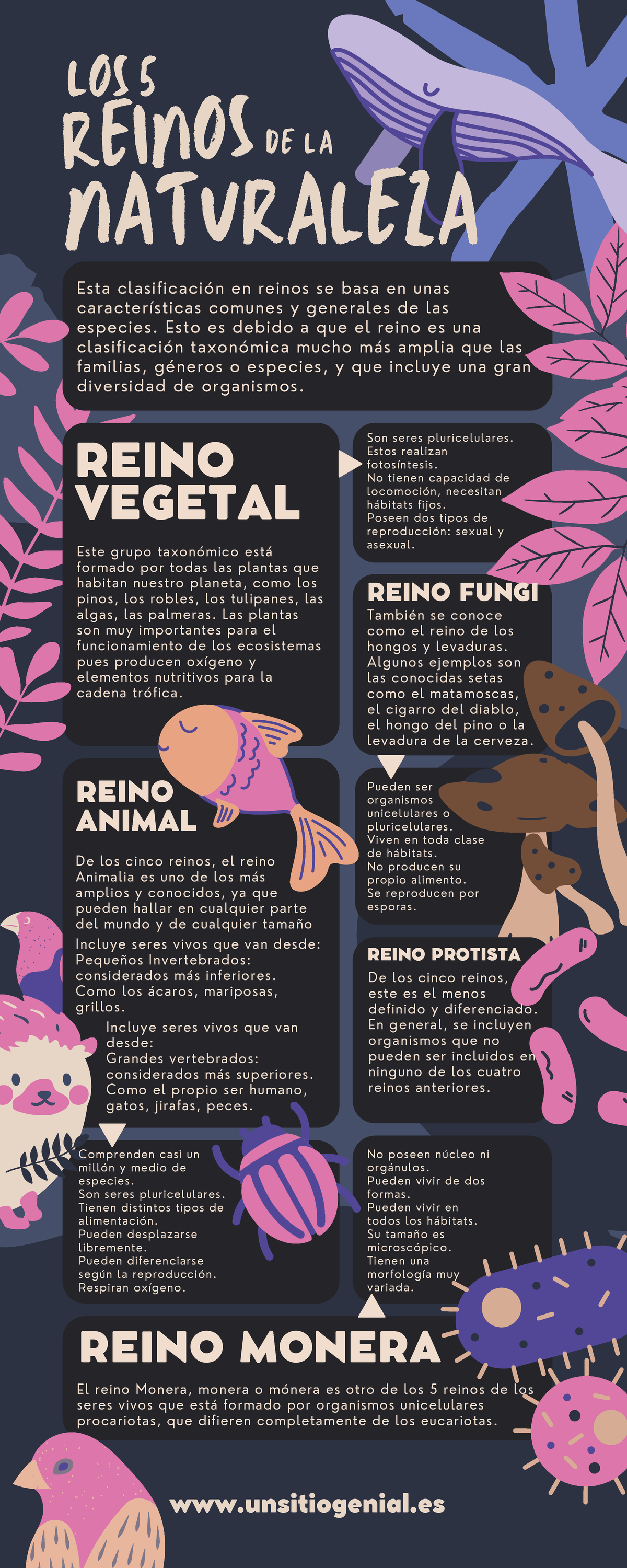 Infografía sobre los 5 Reinos de la Naturaleza: Biología - Studocu