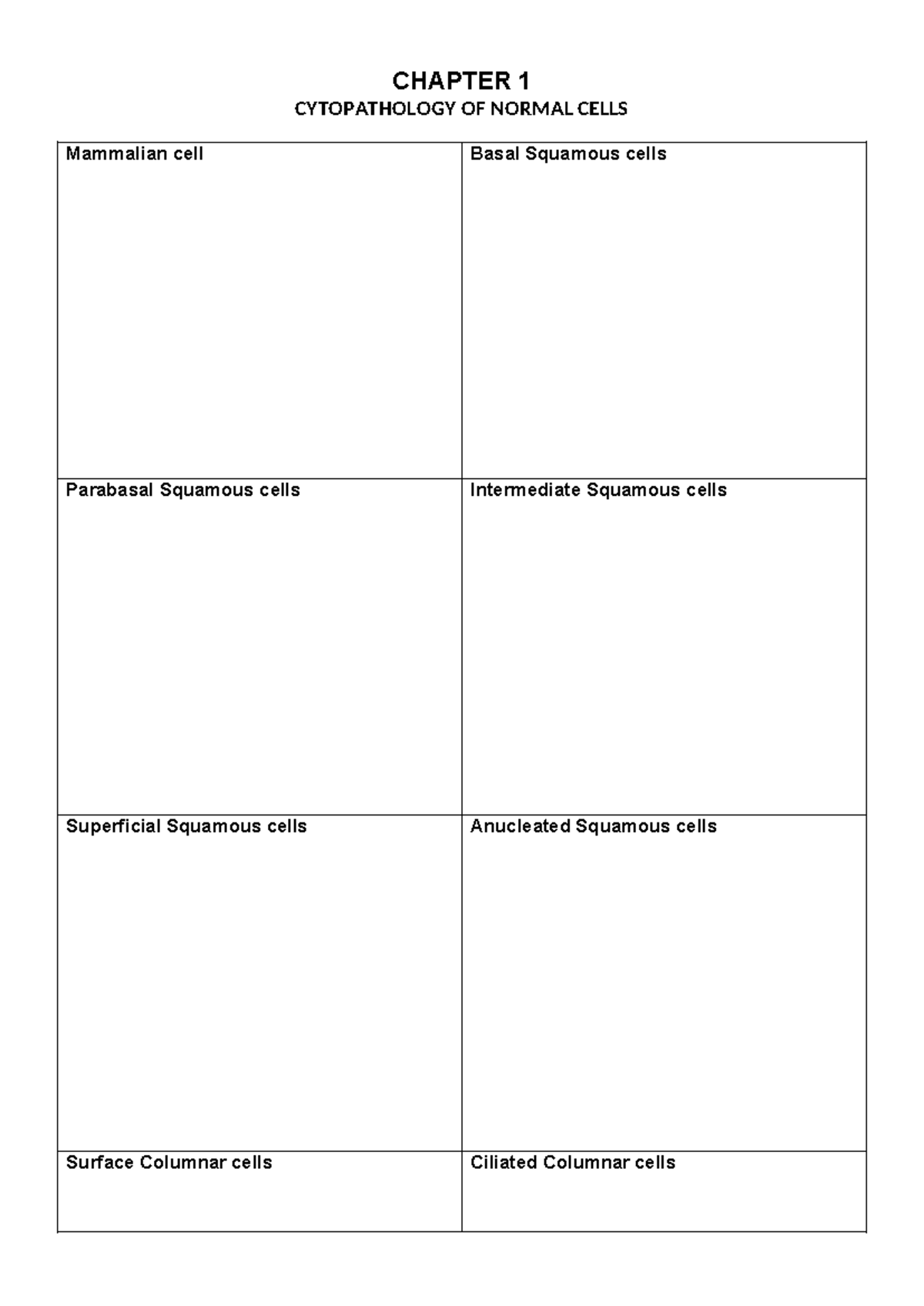 Chapter 1 Workchart - a document you can use for practice - BPLS20 ...