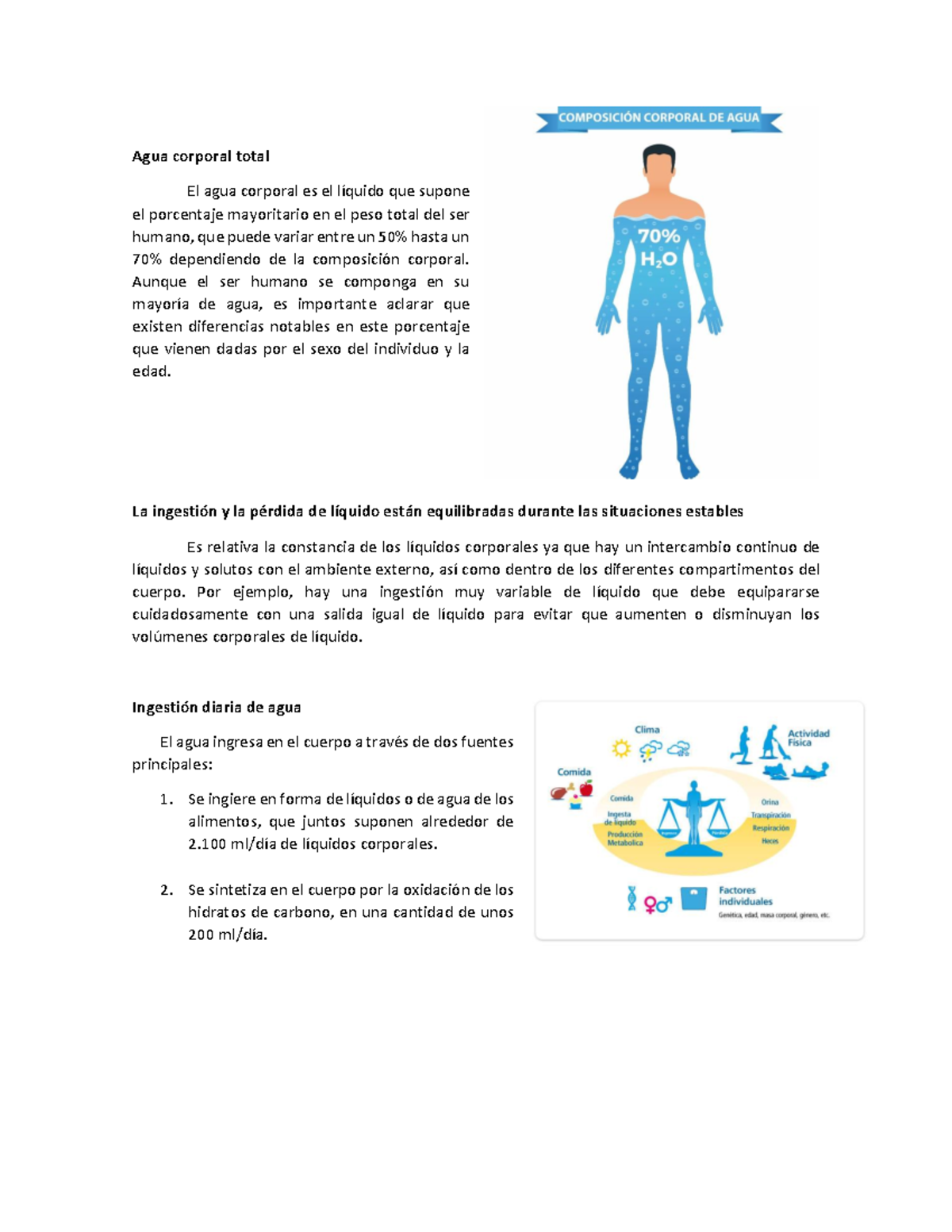 Agua Corporal Total: Importancia y Regulación en el Cuerpo Humano - Studocu