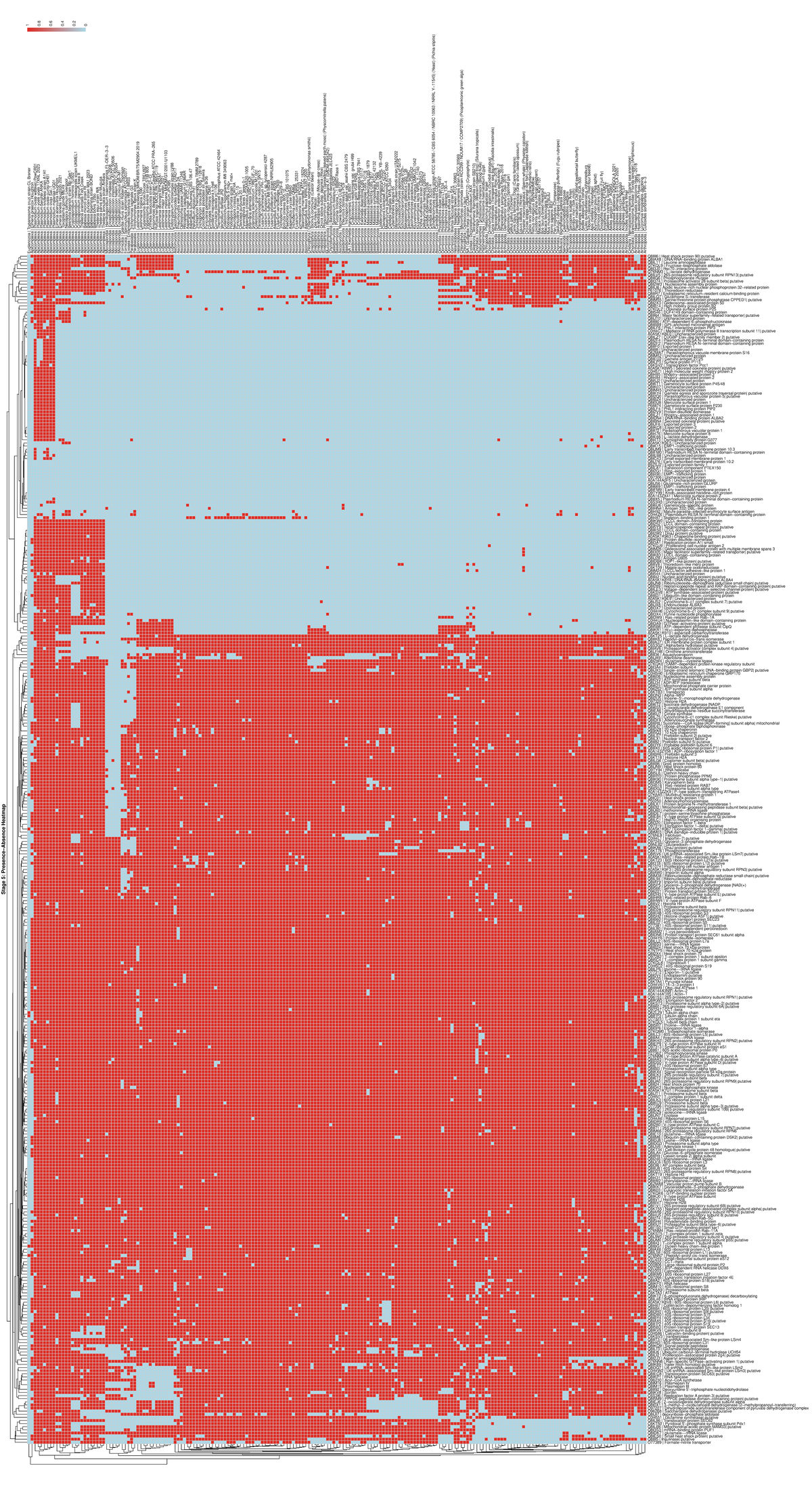 Stage 5: Presence−Absence Heatmap of Apicomplexa and Other Taxa - Studocu