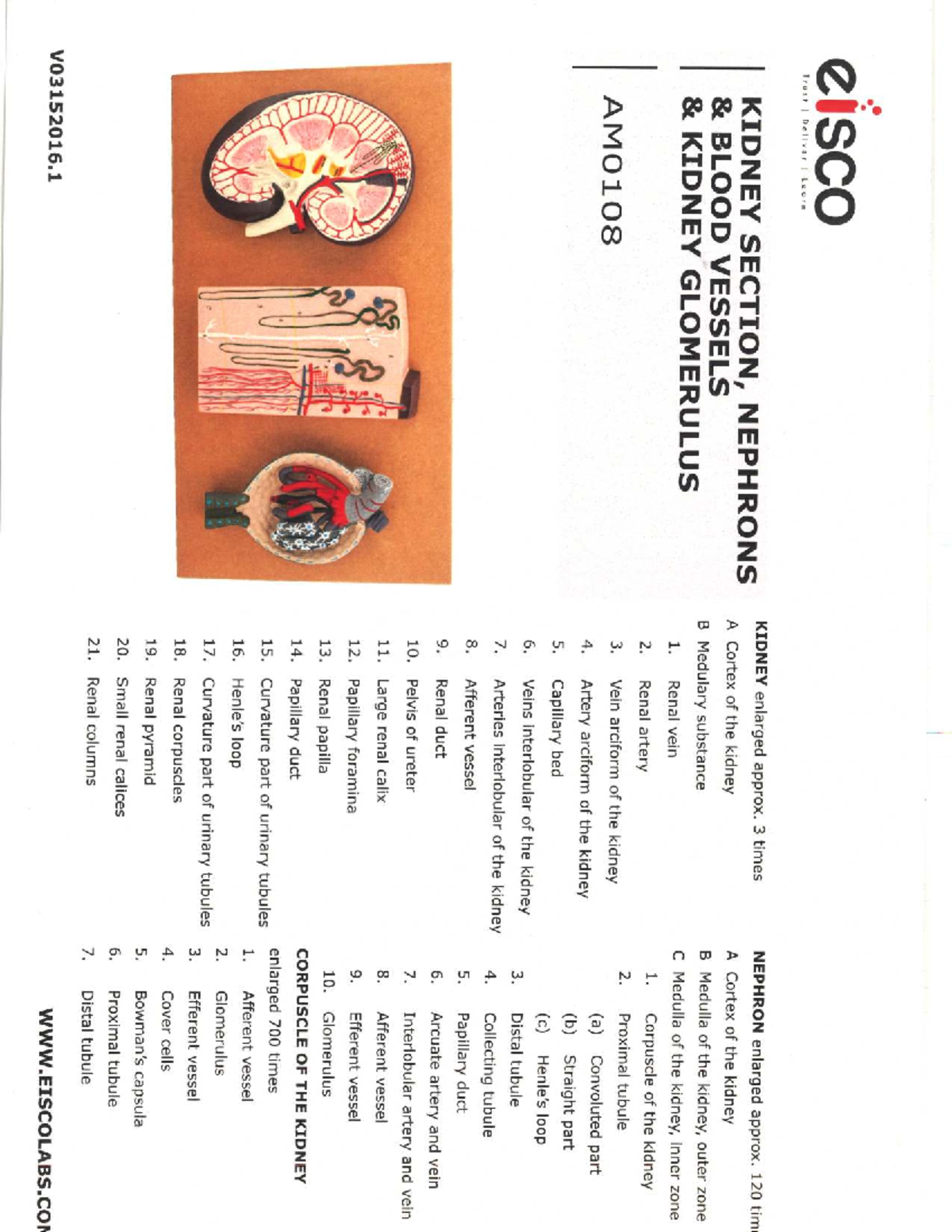 Midterm Exam Review Notes for Course Code ABC123 - eisco Trust Deliver ...