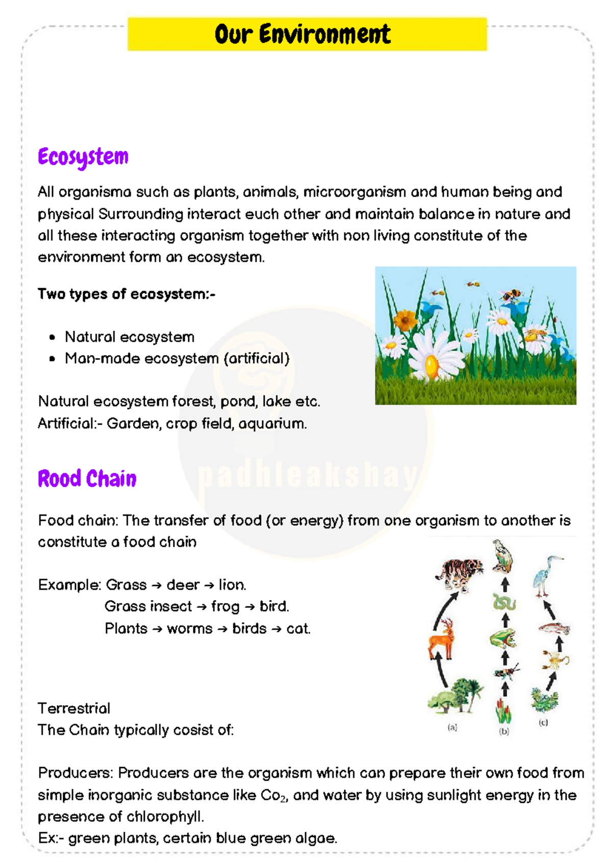 1758473145 - Summary Notes on Ecosystems and Energy Flow - Studocu