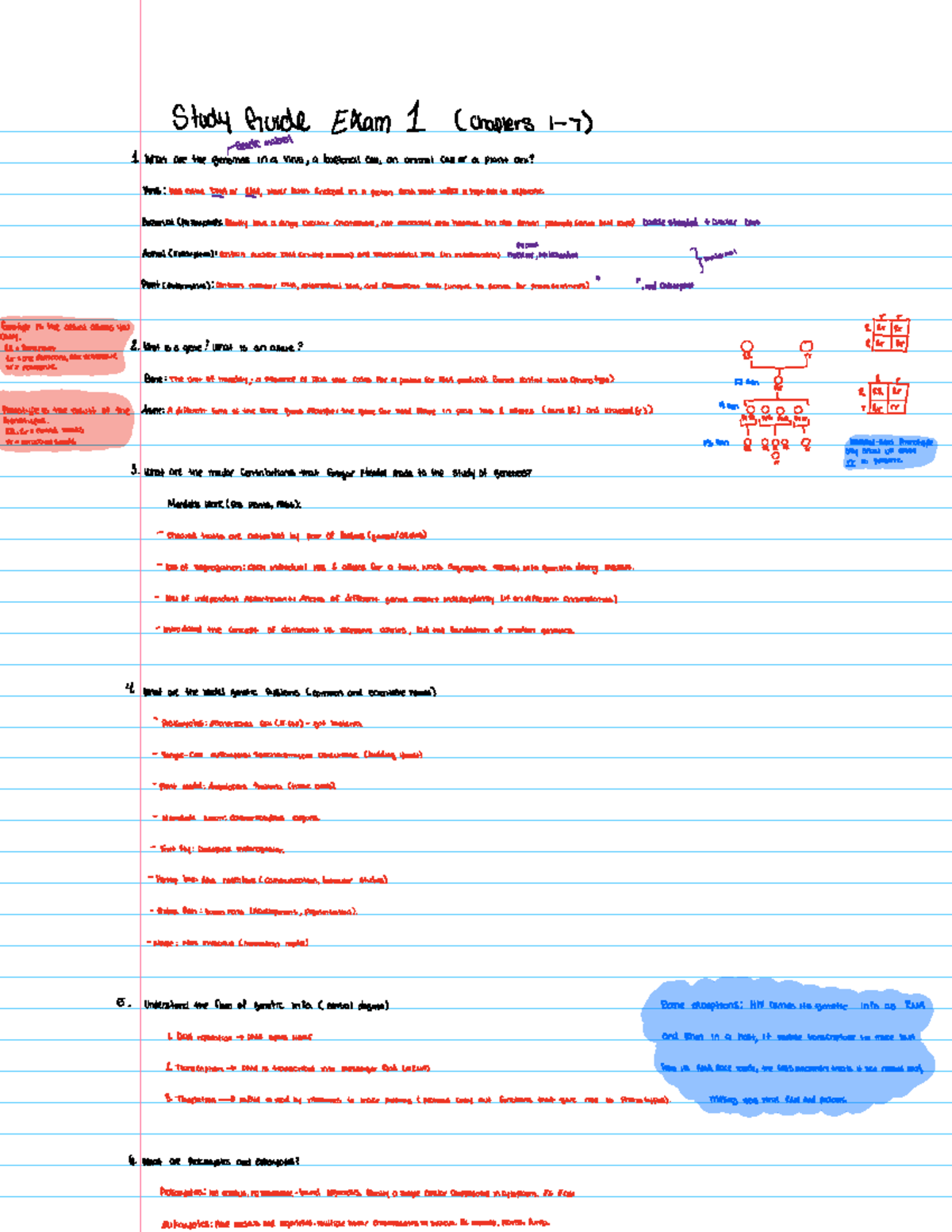 Study Guide for Exam 1: Genetics Overview (Chapters 1-7) - Studocu