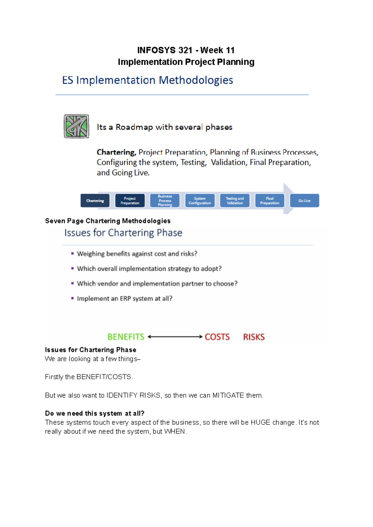 INFOSYS 321 Final Exam: Project Planning & Implementation Strategies ...