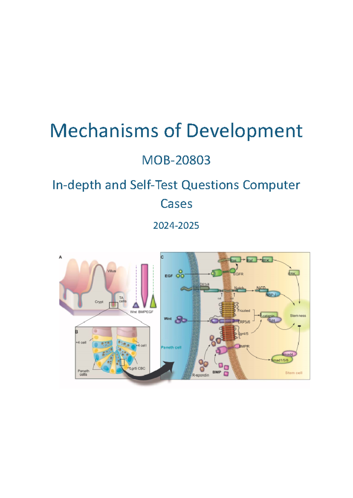 MOB20803 CC Mechanisms of Development: Self-Test Questions 2024-25 ...