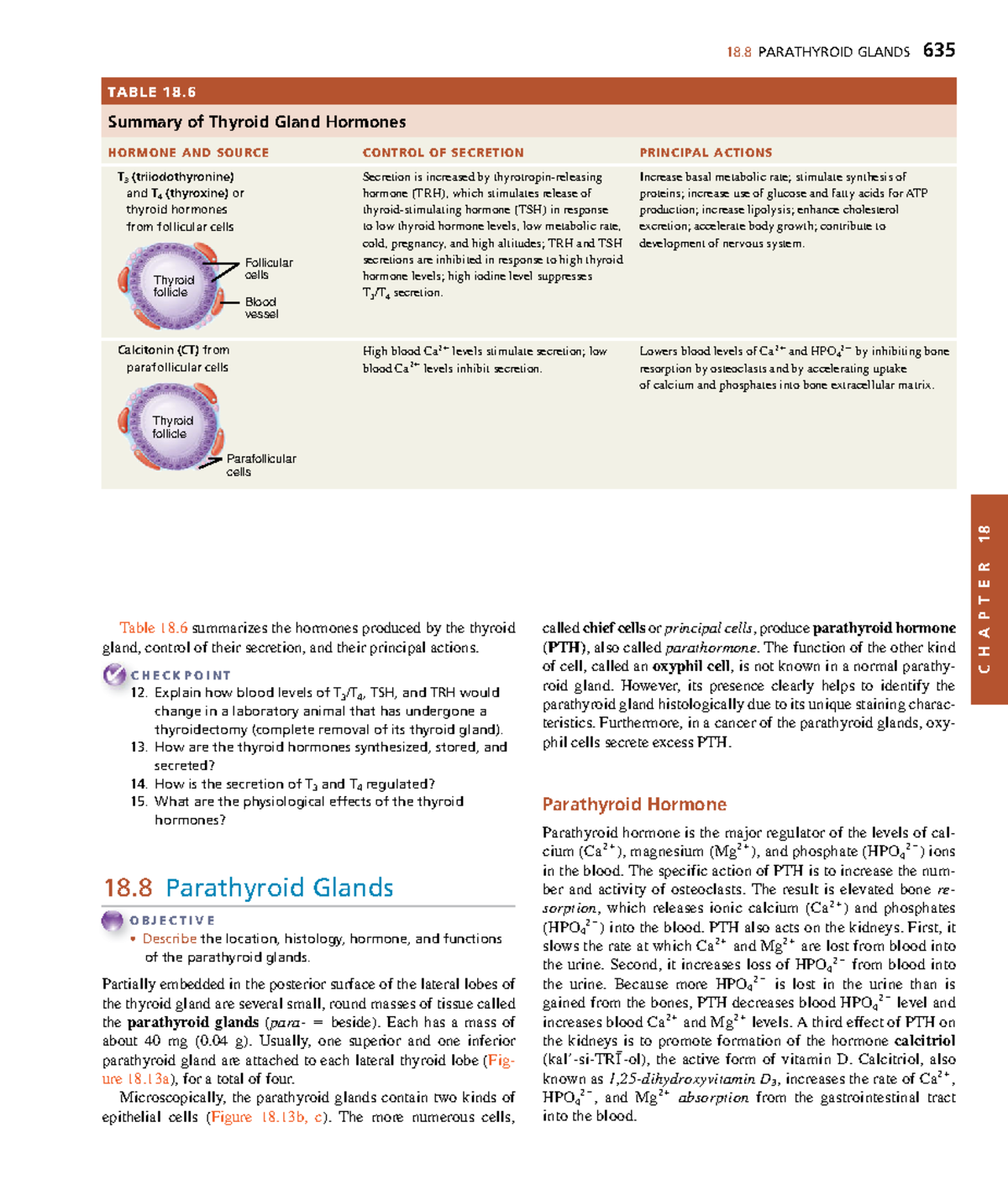 Anatomy and Physiology 223: Chapter 18 - Parathyroid Glands Overview ...