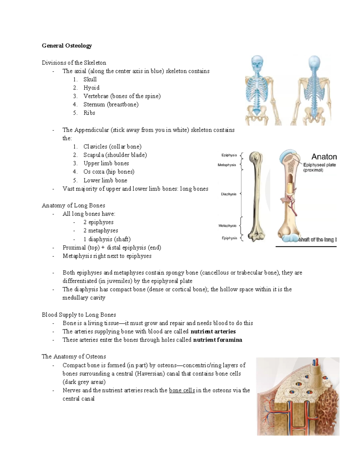 BIO 101 Lab 1 Lecture Notes: General Osteology Overview - Studocu