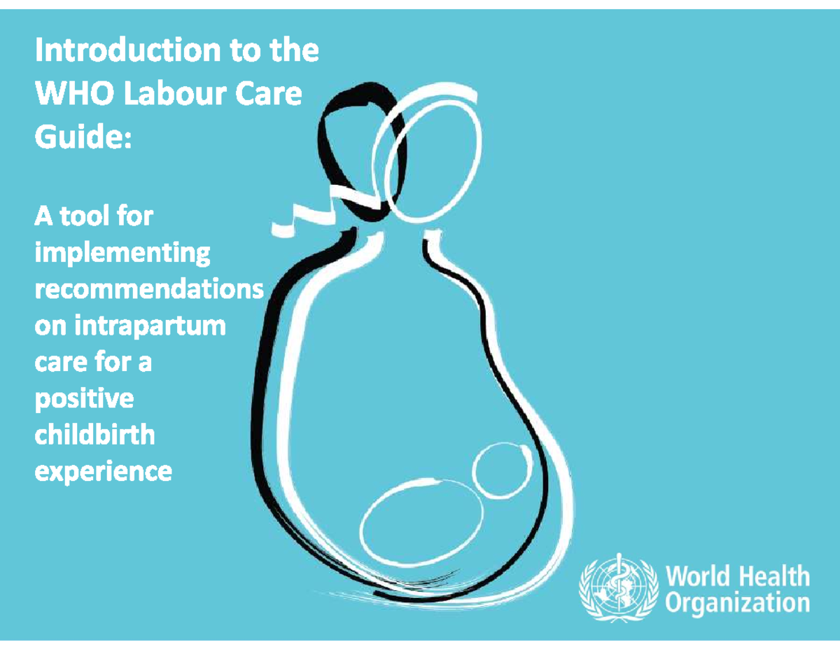 WHO Labour Care Guide: Summary of Intrapartum Care Recommendations ...