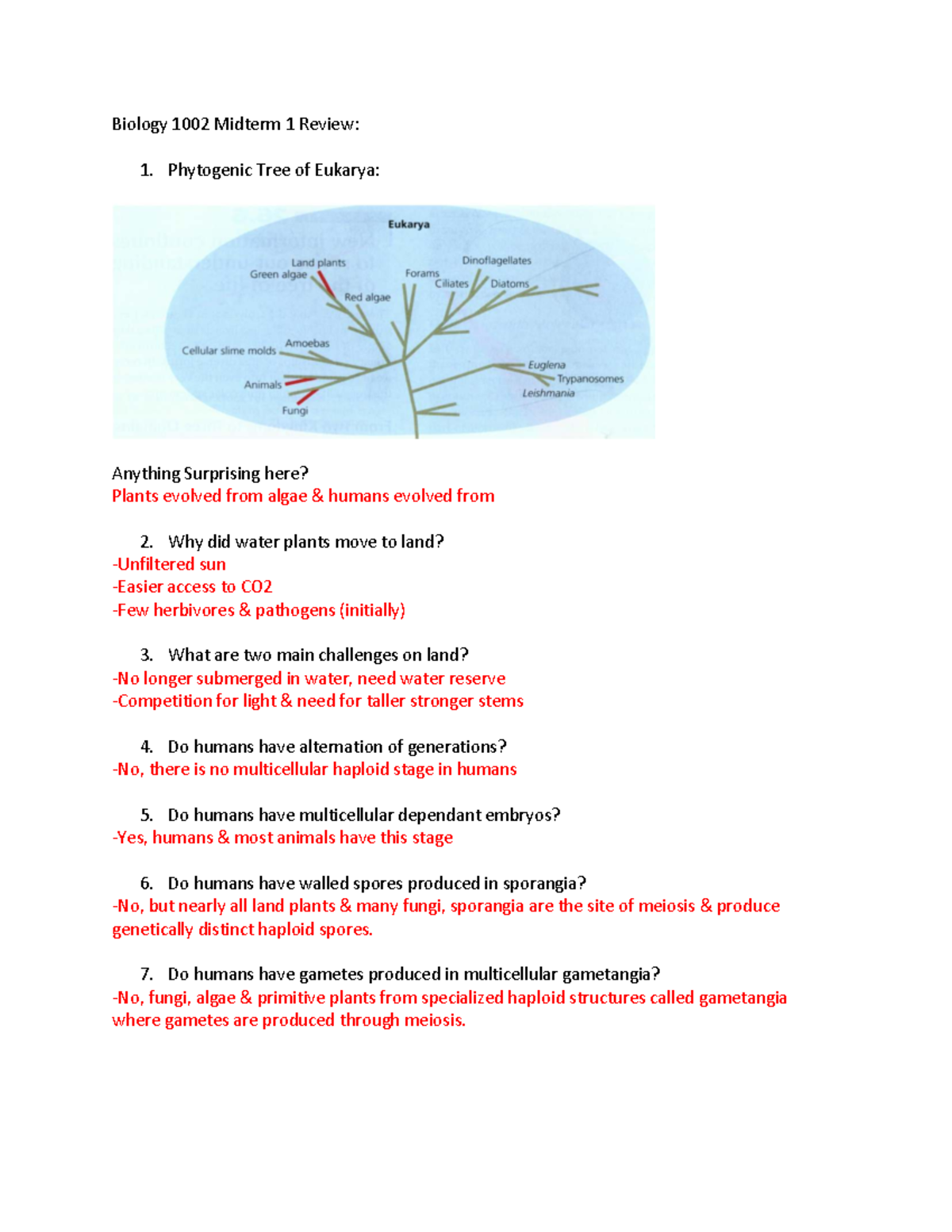 Biology 1002 Midterm 1 Review: Key Concepts in Plant Evolution and ...