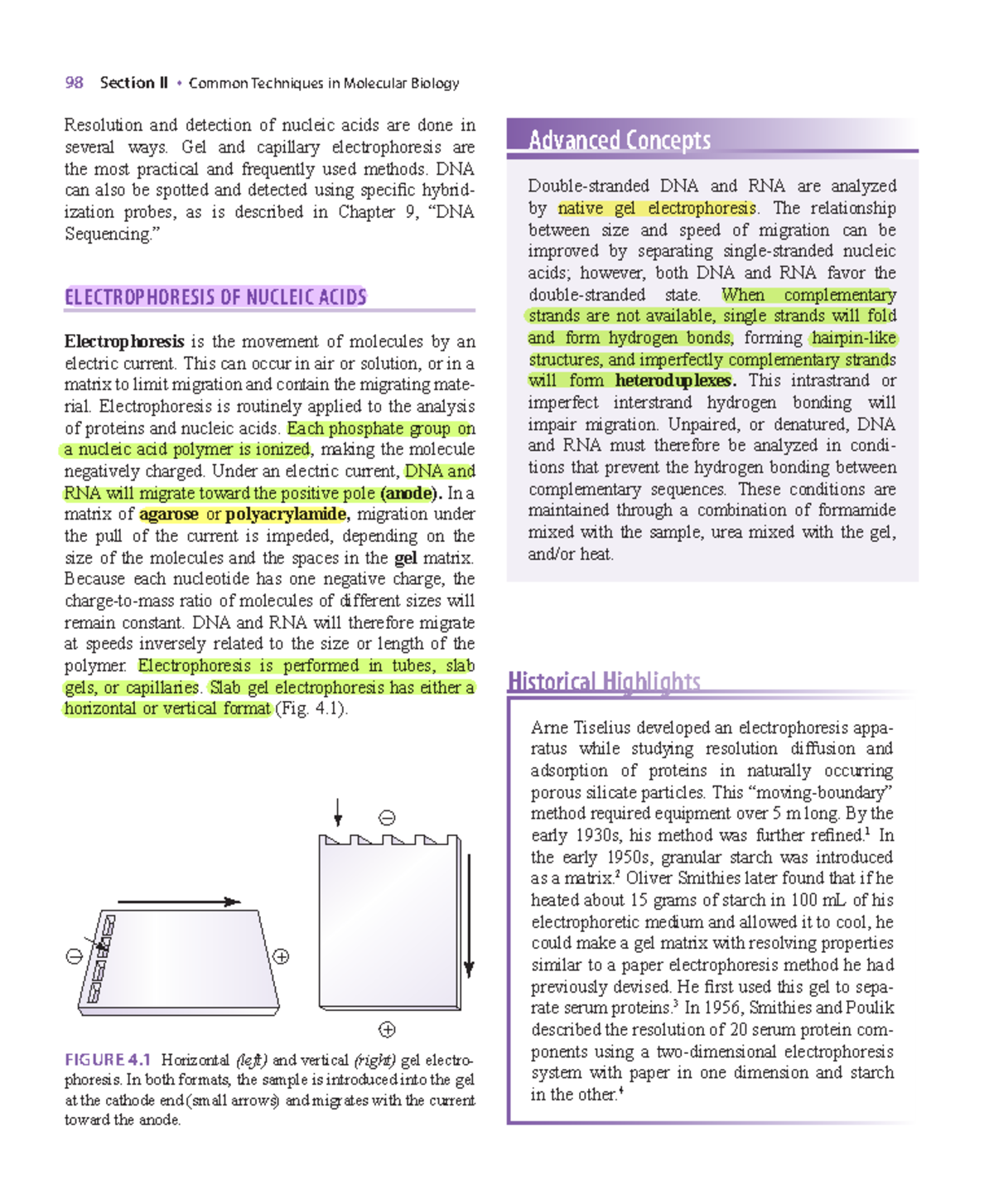 Molecular Biology Techniques: Electrophoresis of Nucleic Acids (98 ...
