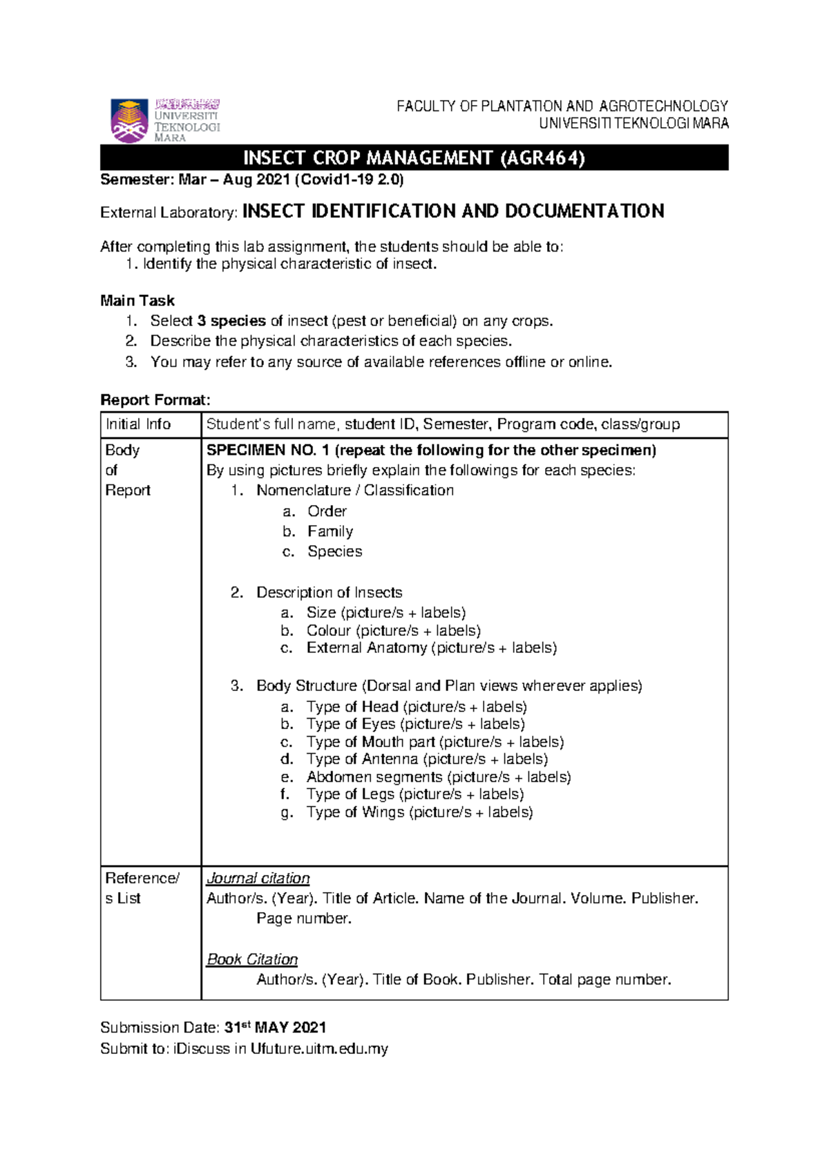 Insect Identification Lab Report (AGR464) - M3AT2202A - Aiman Hakim ...