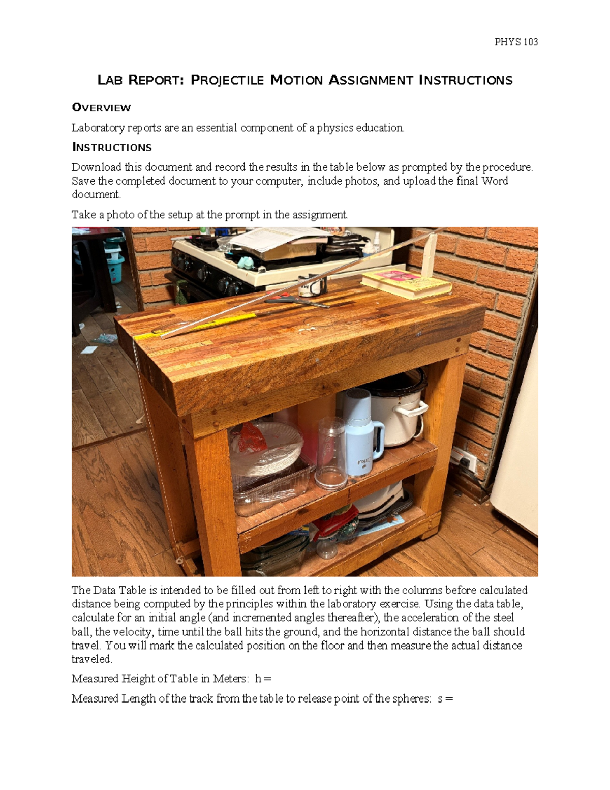 PHYS 103 Lab Report: Projectile Motion Assignment Instructions - Studocu