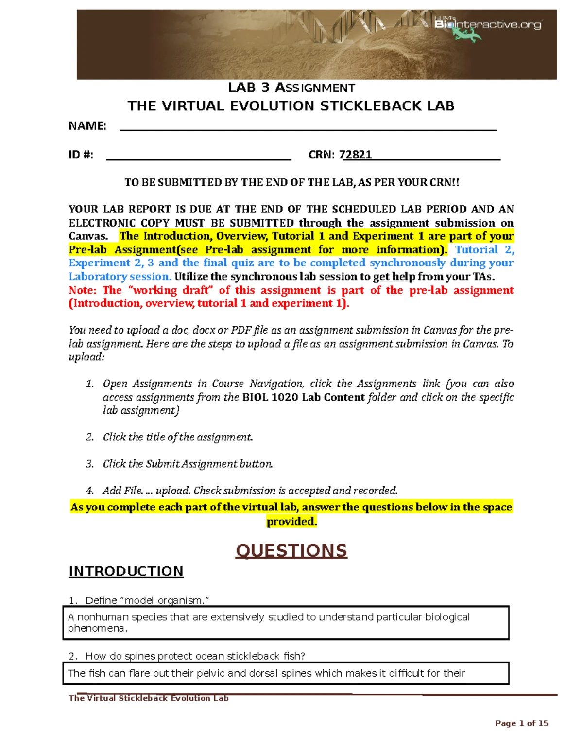 Lab 3 Assignment (final submission) - LAB 3 ASSIGNMENT THE VIRTUAL ...
