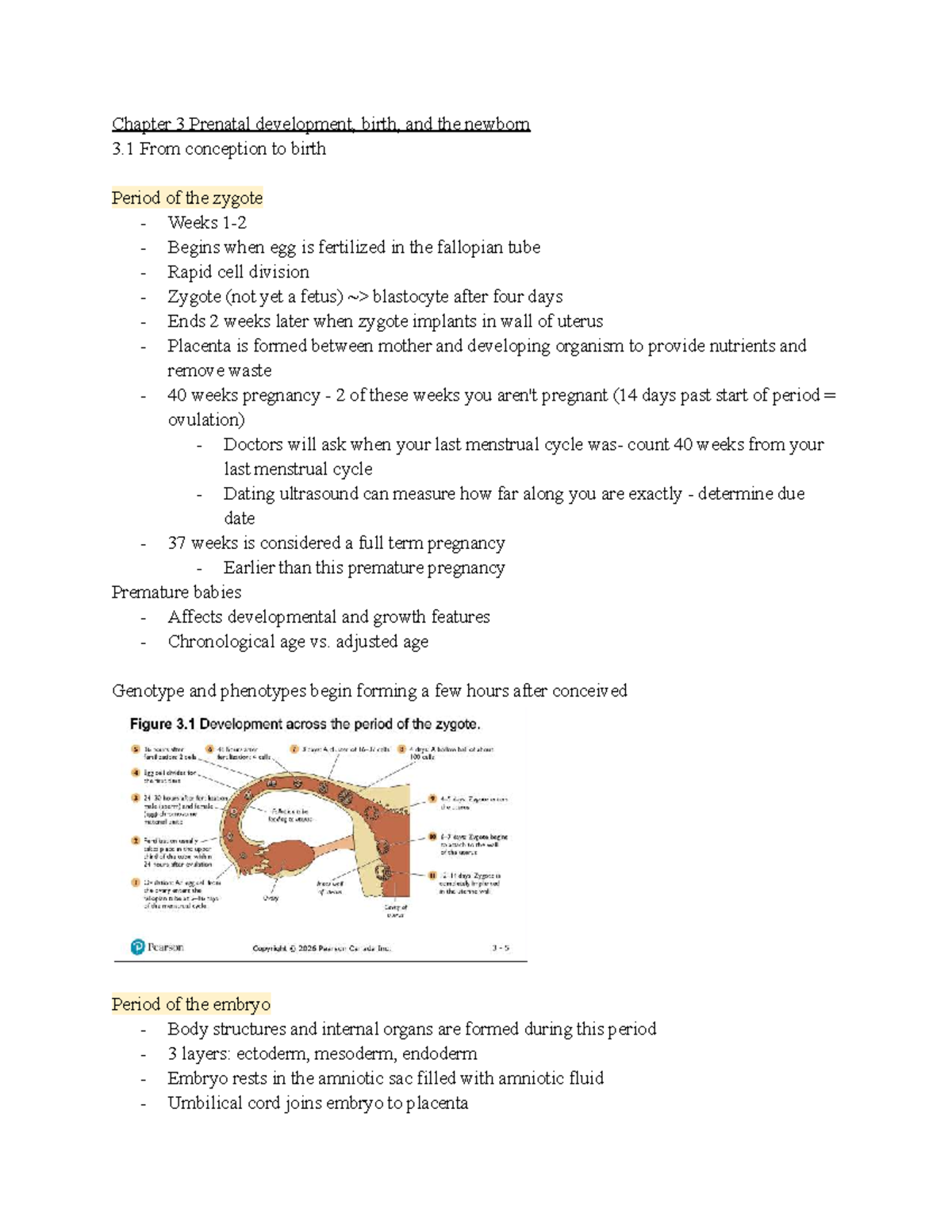 Chapter 3: Prenatal Development, Birth, and Newborn Insights - Studocu