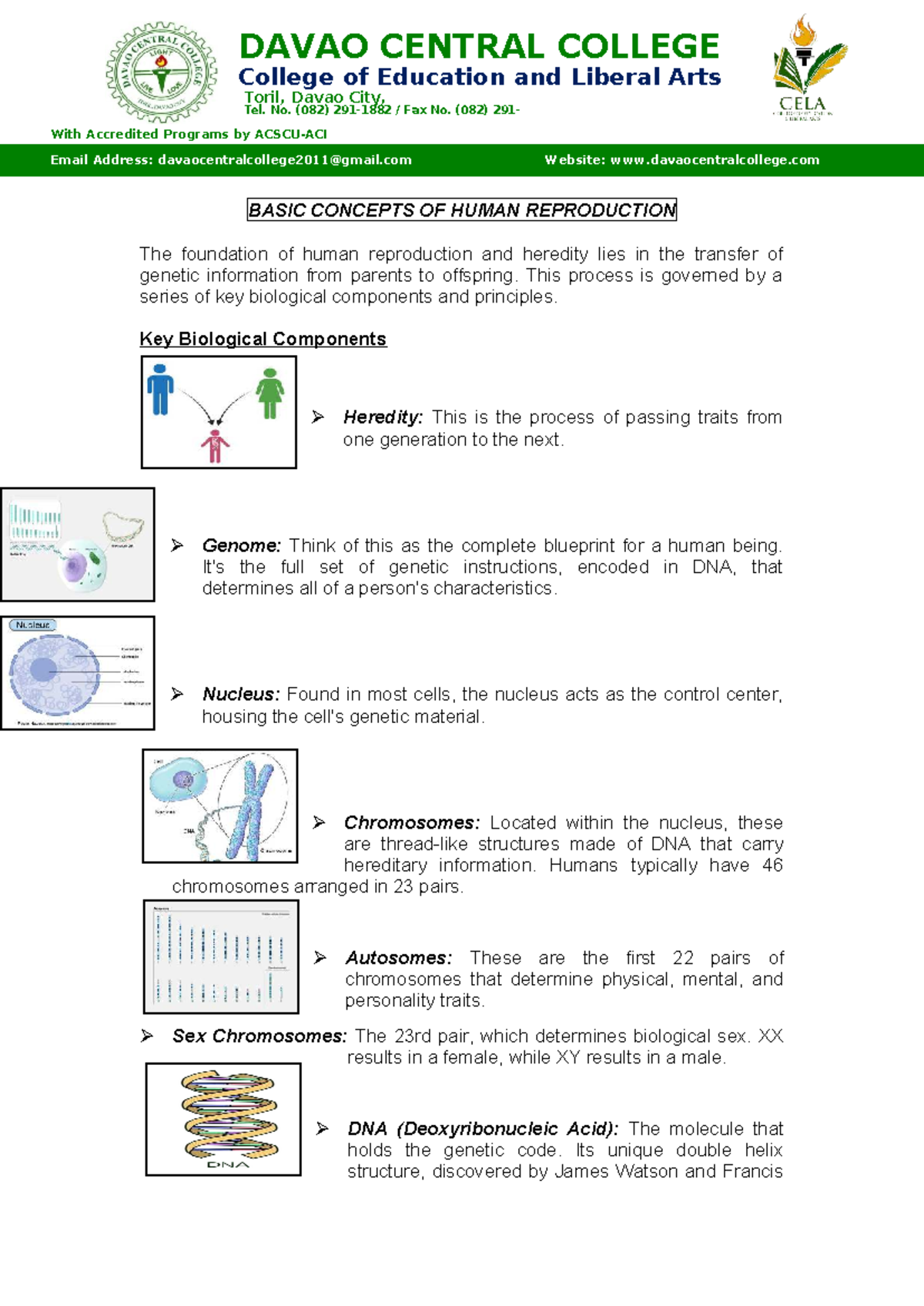 BASIC CONCEPTS OF HUMAN REPRODUCTION - EDUC 101 Notes - Studocu
