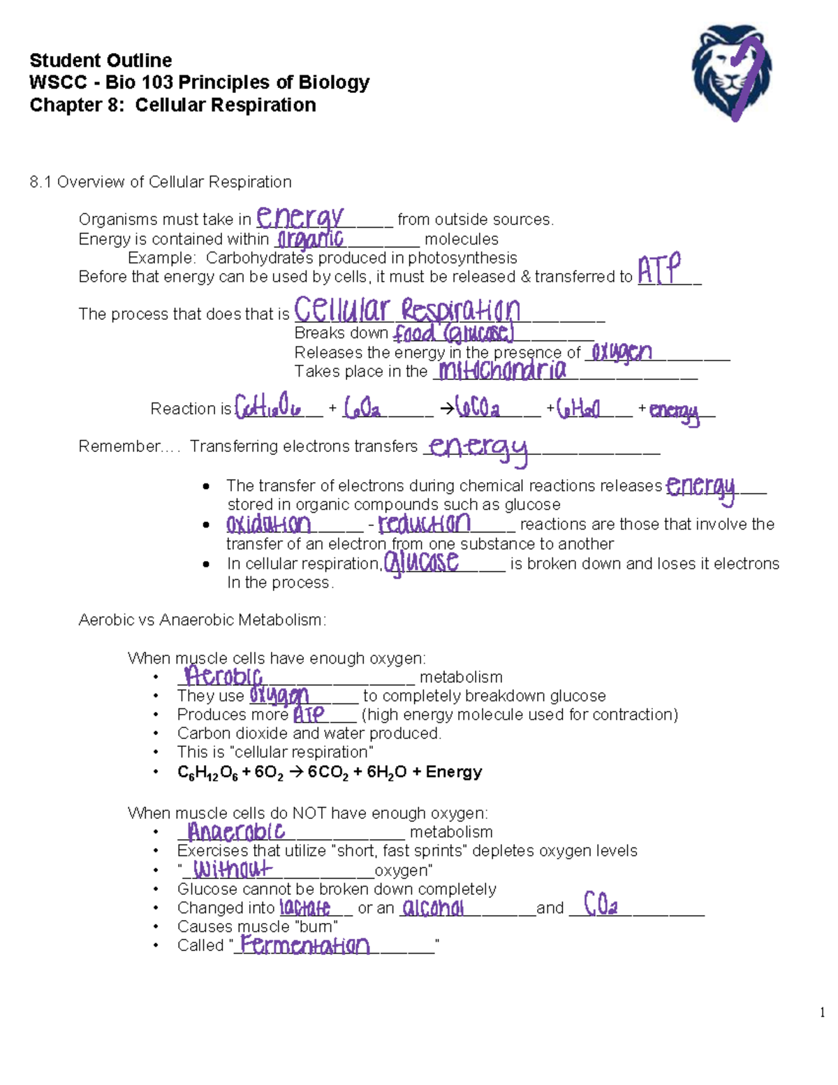 WSCC Bio 103 Principles of Biology: Chapter 8 Cellular Respiration ...