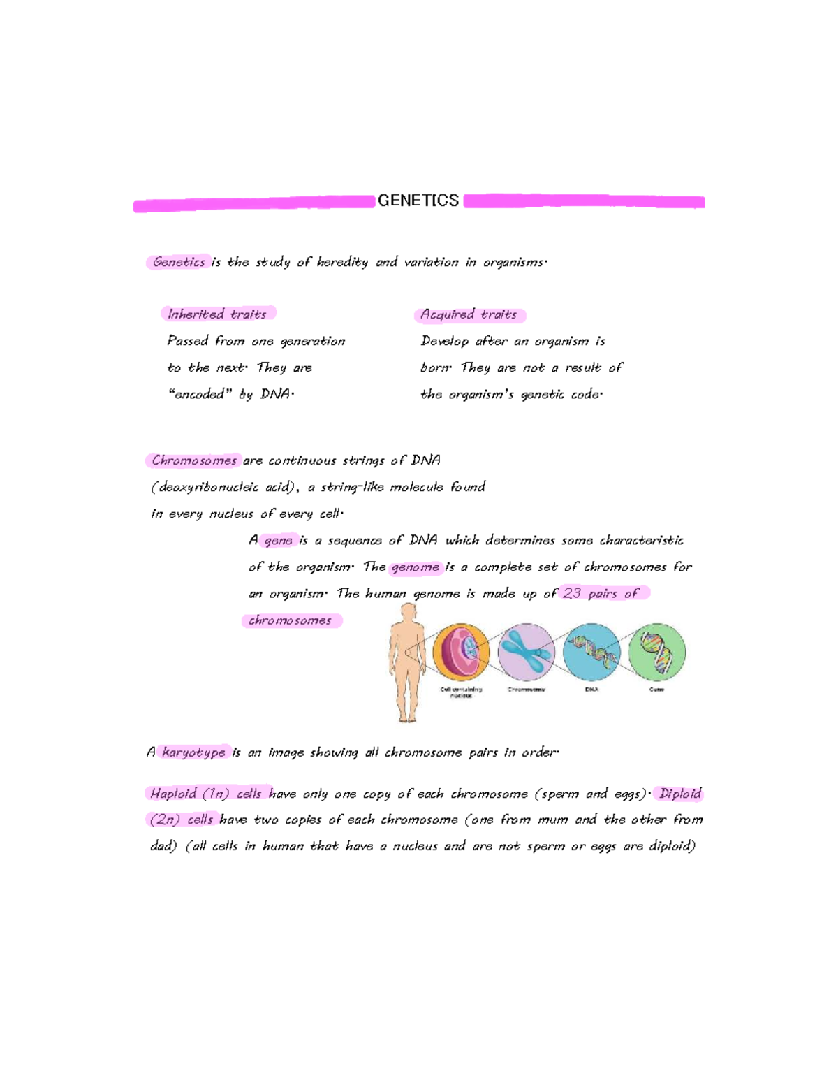 GEN 101: Genetics Study Notes on Heredity and Variation - Studocu