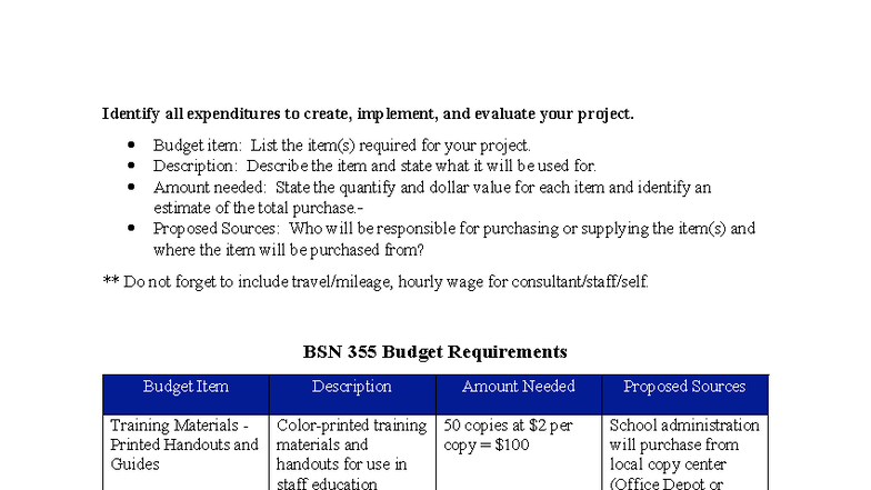 BSN 355 Budget Requirements: Expenditures for Project Implementation ...