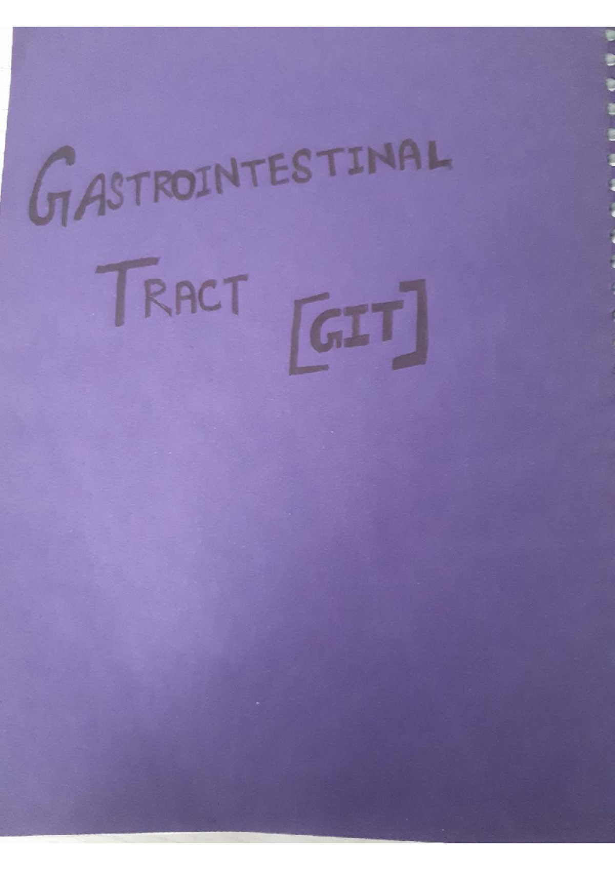 GIT 101: Comprehensive Overview of Gastrointestinal Functions and ...
