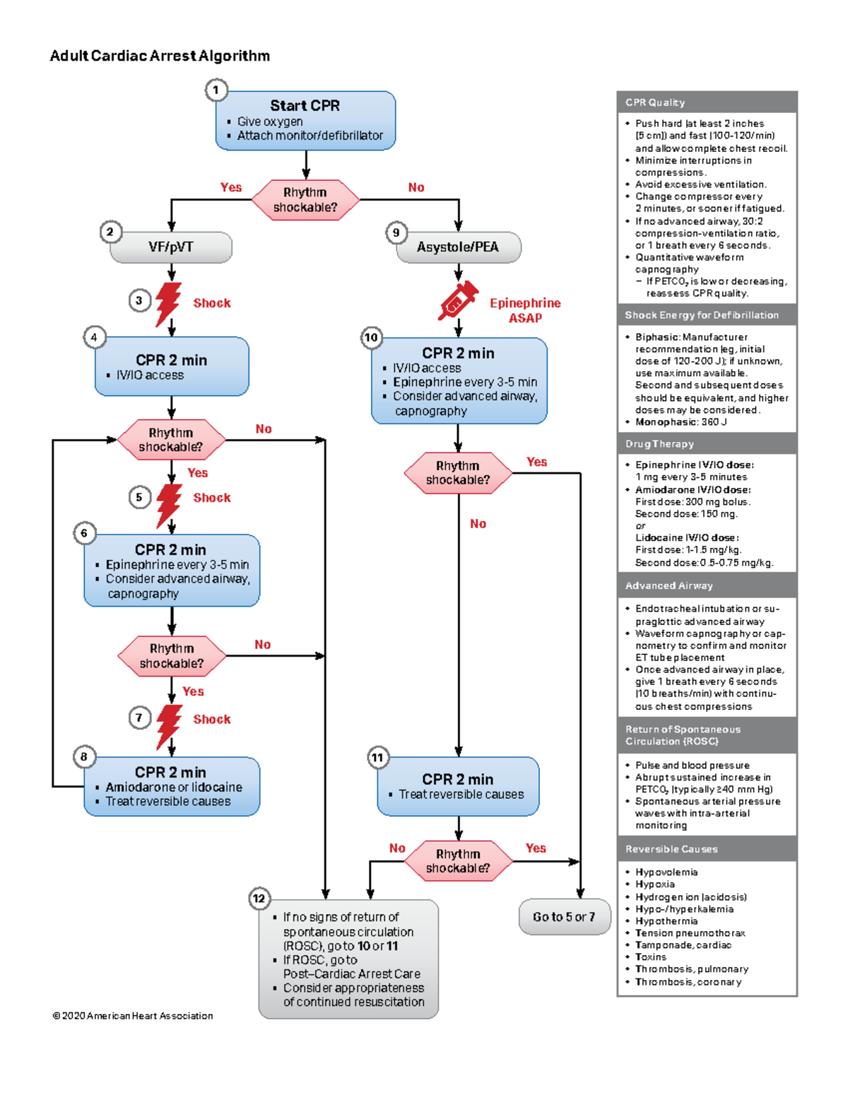 ACLS 2020: Adult Cardiac Arrest Algorithm Guide - Studocu
