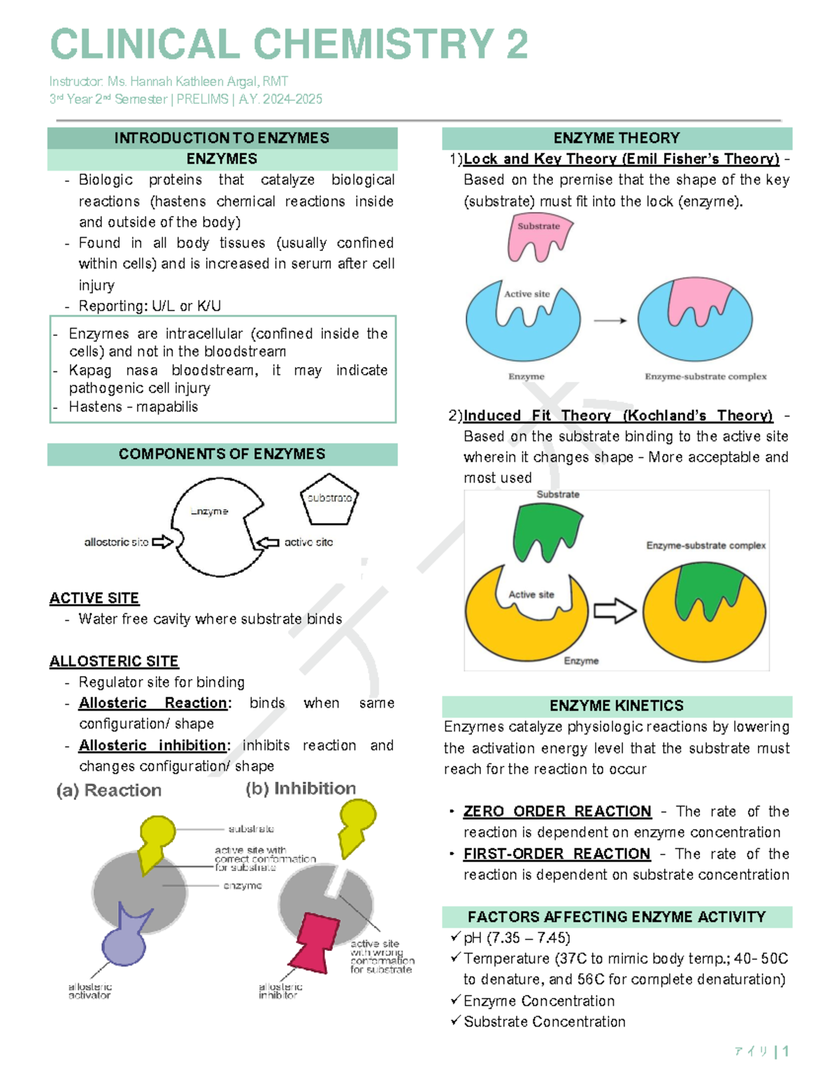 CC2-Enzymes-Prelims A. 2024-2025 Study Guide: Key Concepts & Kinetics ...