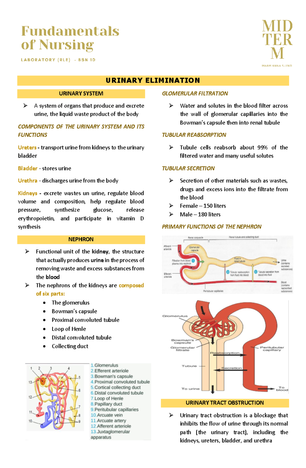 Rev - Urinary Elimination - URINARY ELIMINATION URINARY SYSTEM A system ...