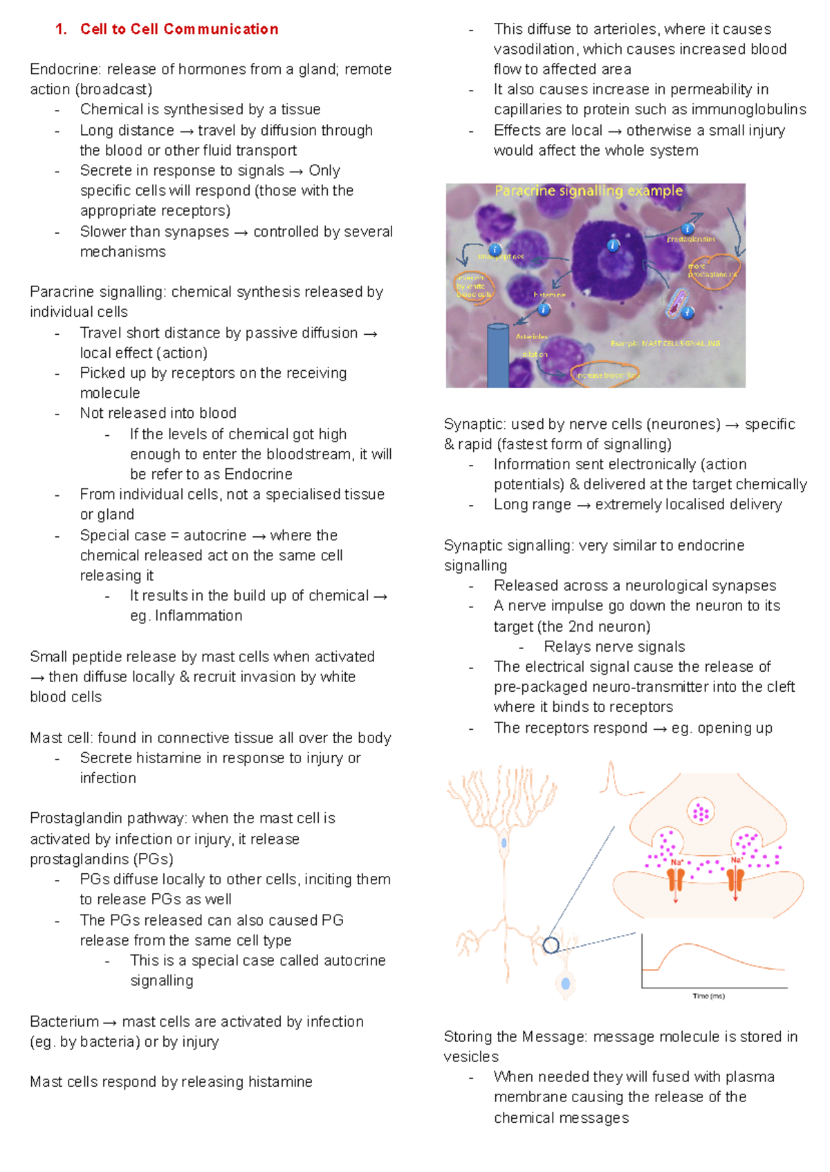Cell Signalling - Lecture Notes (Detailed Overview) - Studocu