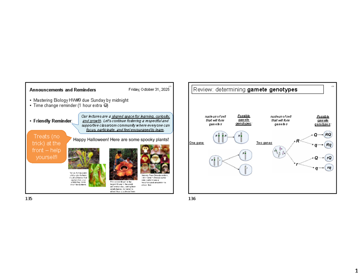 Mastering Biology HW#9: Gamete Genotype Predictions - Studocu