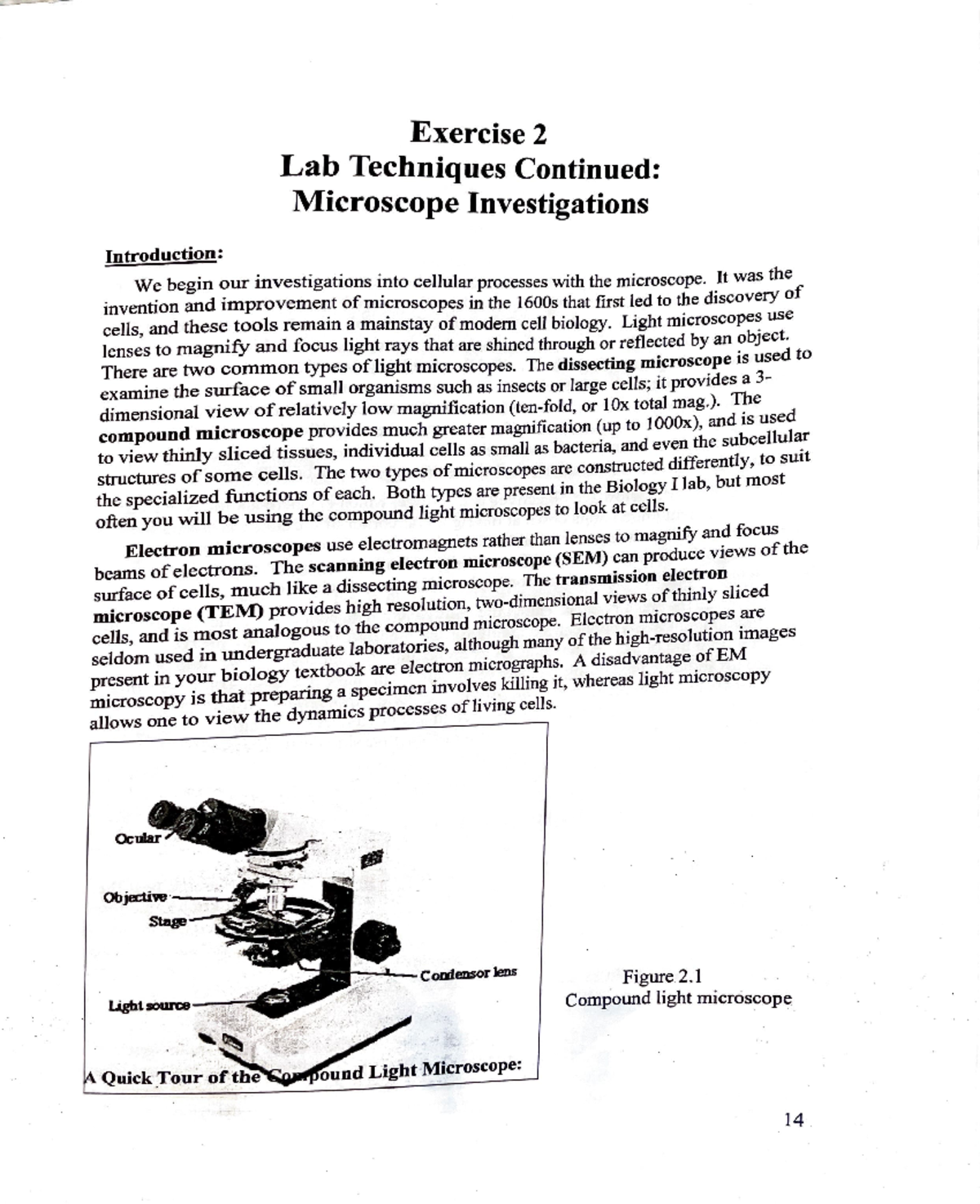 Biology I Lab: Exercise 2 - Microscope Investigations & Cell ...