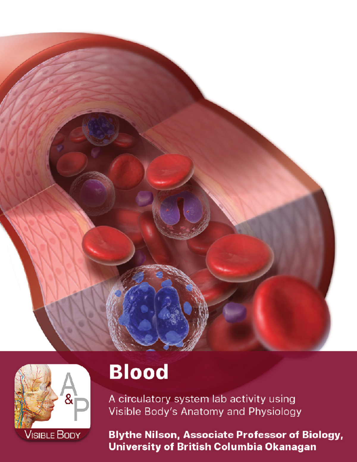 A&P Lab Manual: Blood Function & Components - Study Guide - Studocu