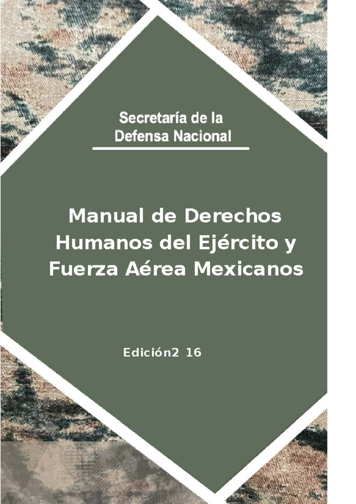 Manual de Derechos Humanos y Uso de la Fuerza en México - Edición 2016 - Document Preview