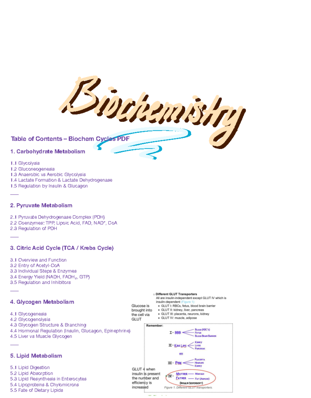 Biochem 101: Comprehensive Overview of Metabolic Pathways - Studocu