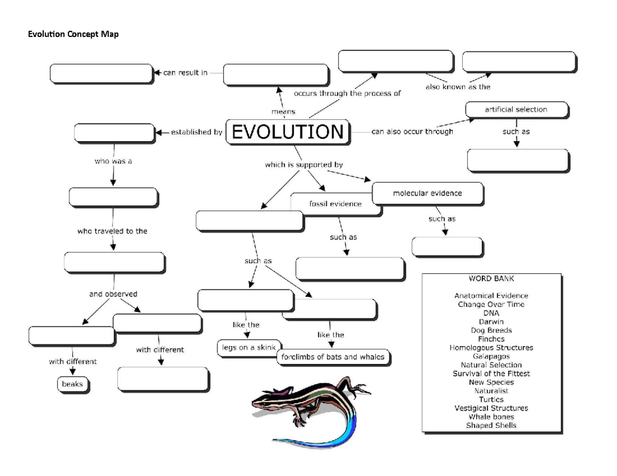 Evolution Concept Map: Key Concepts and Evidence - Studocu