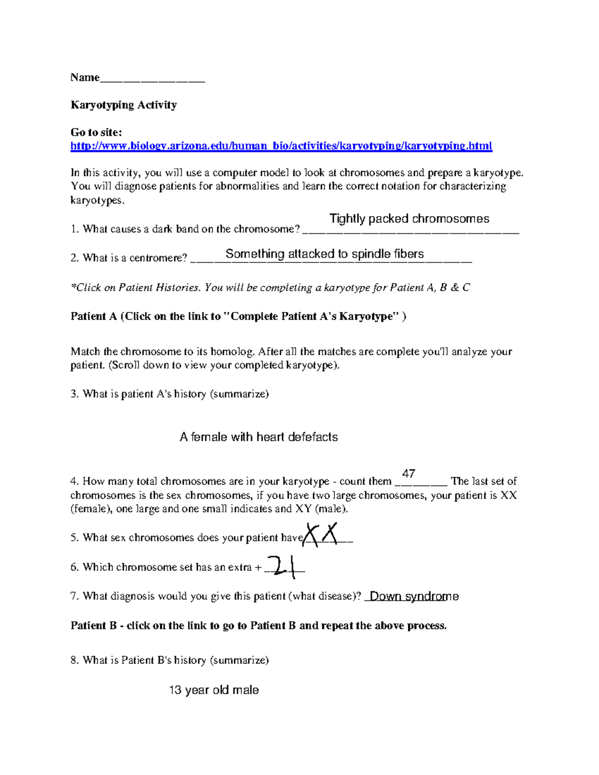 Karyotyping Activity: Diagnosing Chromosomal Abnormalities in Patients ...