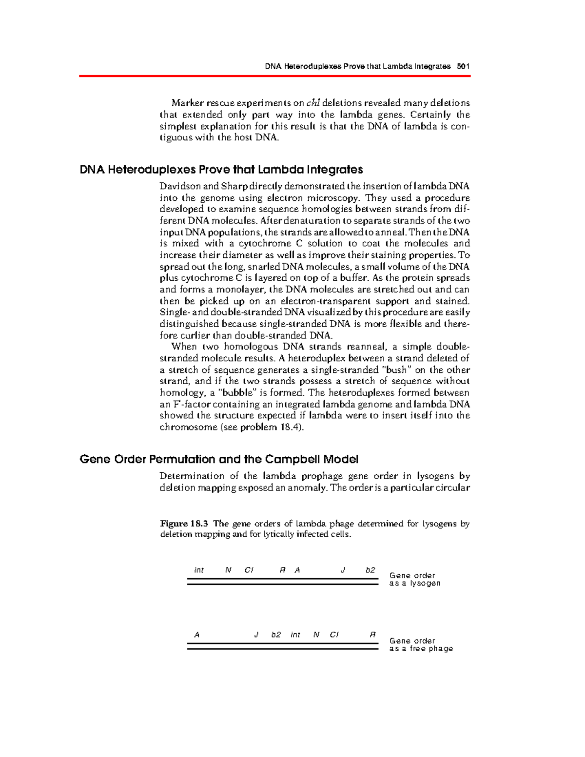 Genetics and Molecular Biology – Part 259: Lambda DNA Integration ...